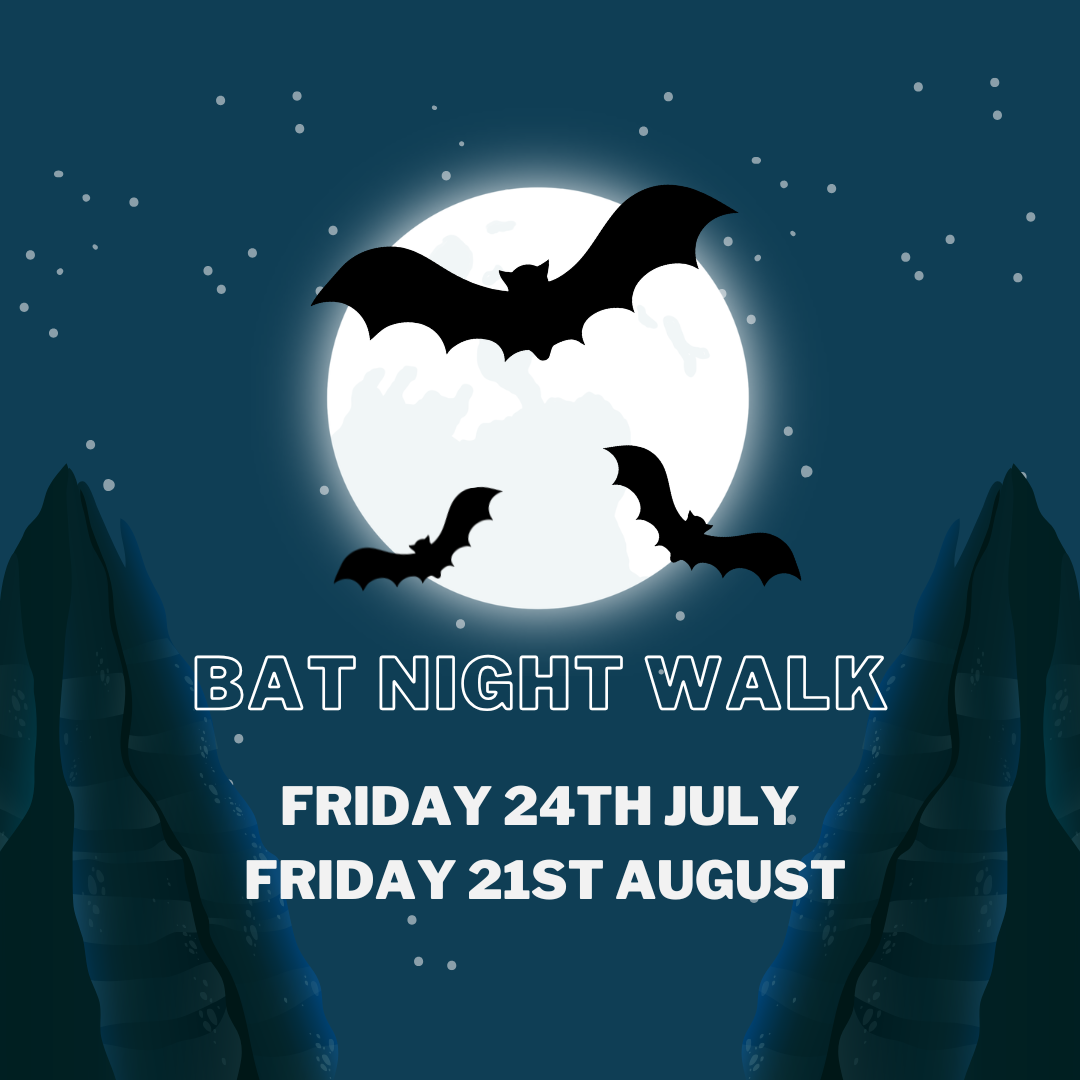 BAT NIGHt Walk (1).png