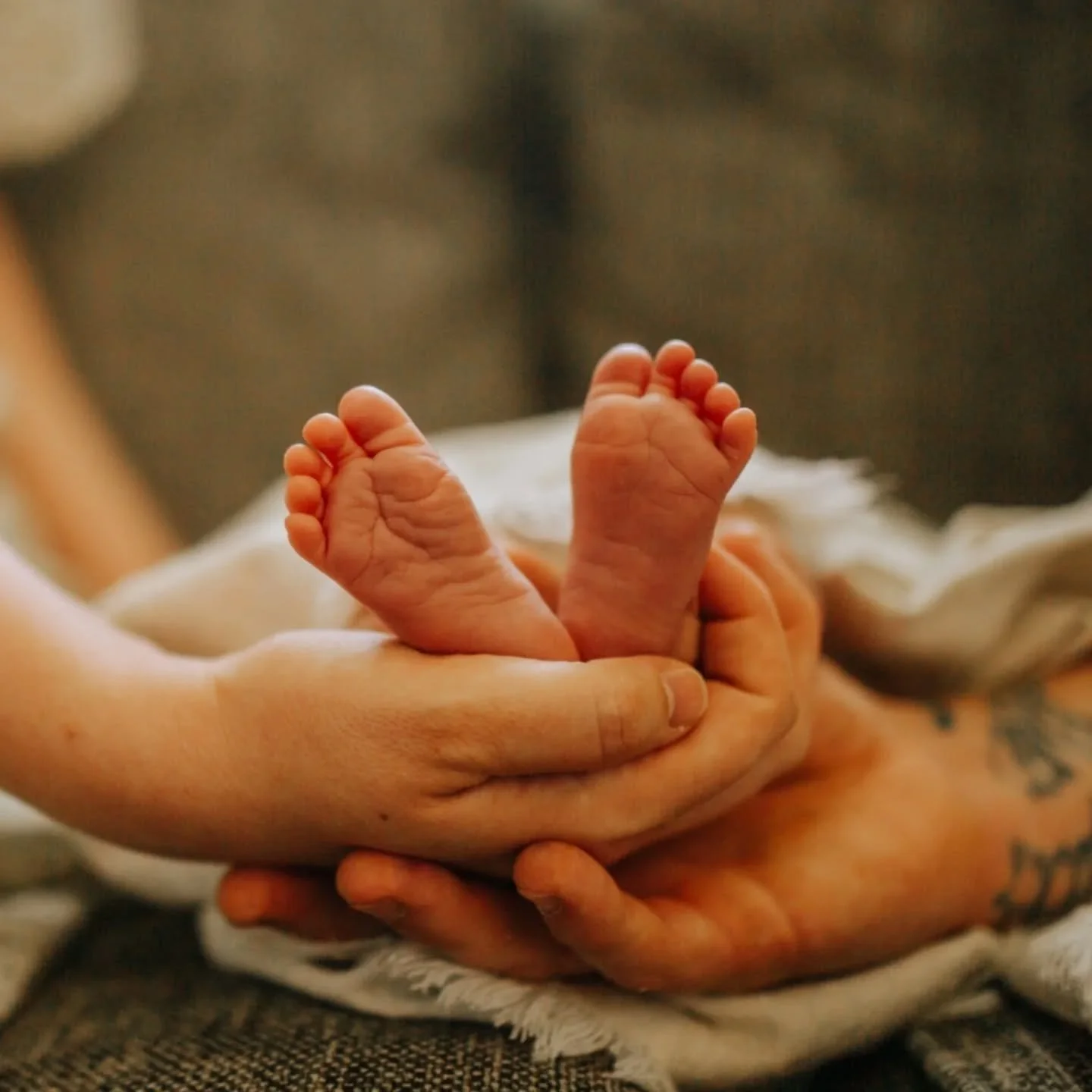 in-home new baby sesh 🩷 

#OcalaPhotographer #OcalaFlorida #OcalaPhotography #OcalaMoms #OcalaFamilies #OcalaNewbornPhotographer #OcalaMaternityPhotographer #OcalaFamilyPhotographer #FamilyPhotos #FamilyPhotographer #FamilySession #FamilyMoments #Ca