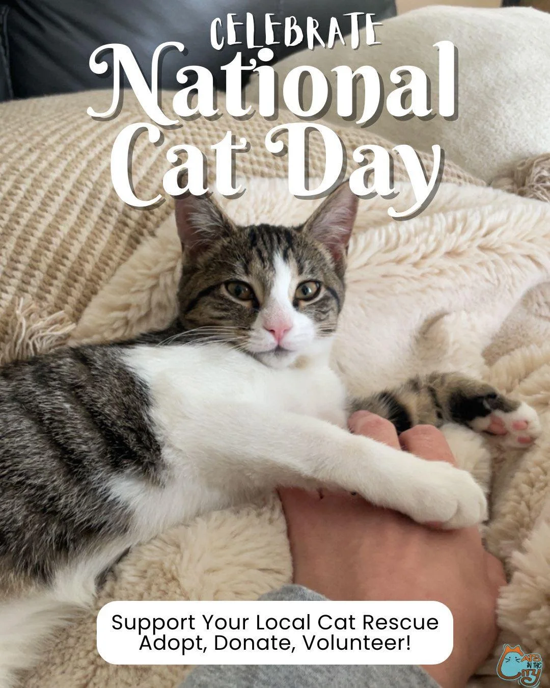 🐾 Happy National Cat Day! 🐾

Every whisker, paw, and purr deserves love. 🧡
Today&rsquo;s the purr-fect reminder to support your local cat rescues and feral community projects, the quiet heroes helping countless kitties find safety, warmth, and lov