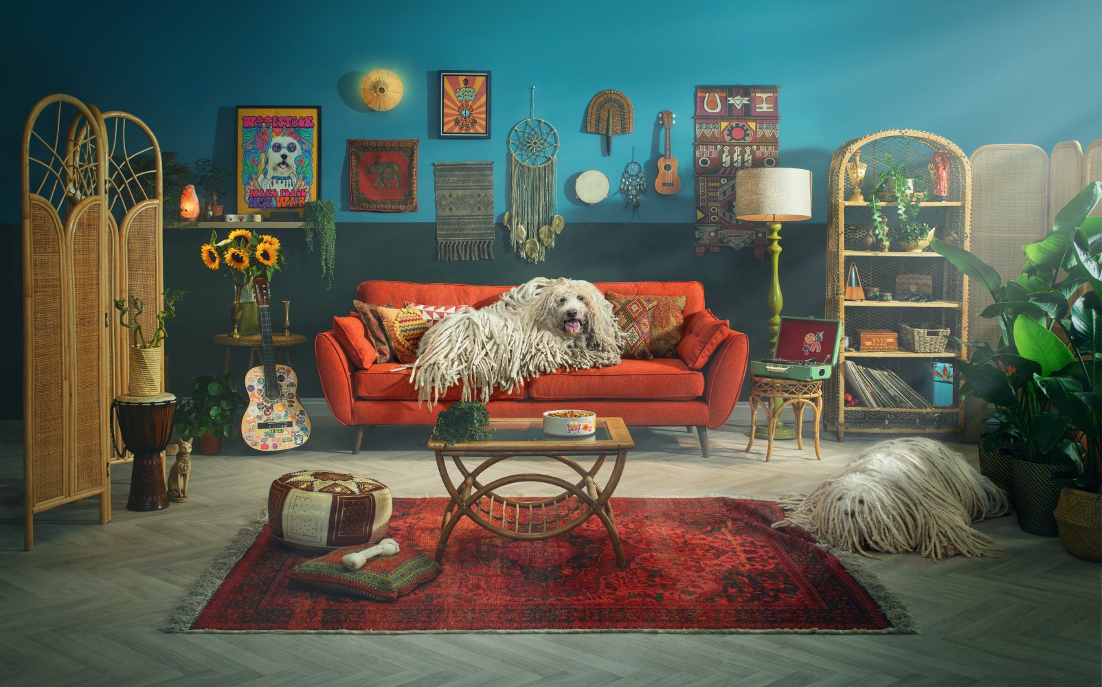 DFS Commercial