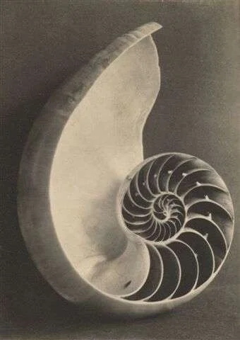 The Sacred Spiral: Spring Gathering 