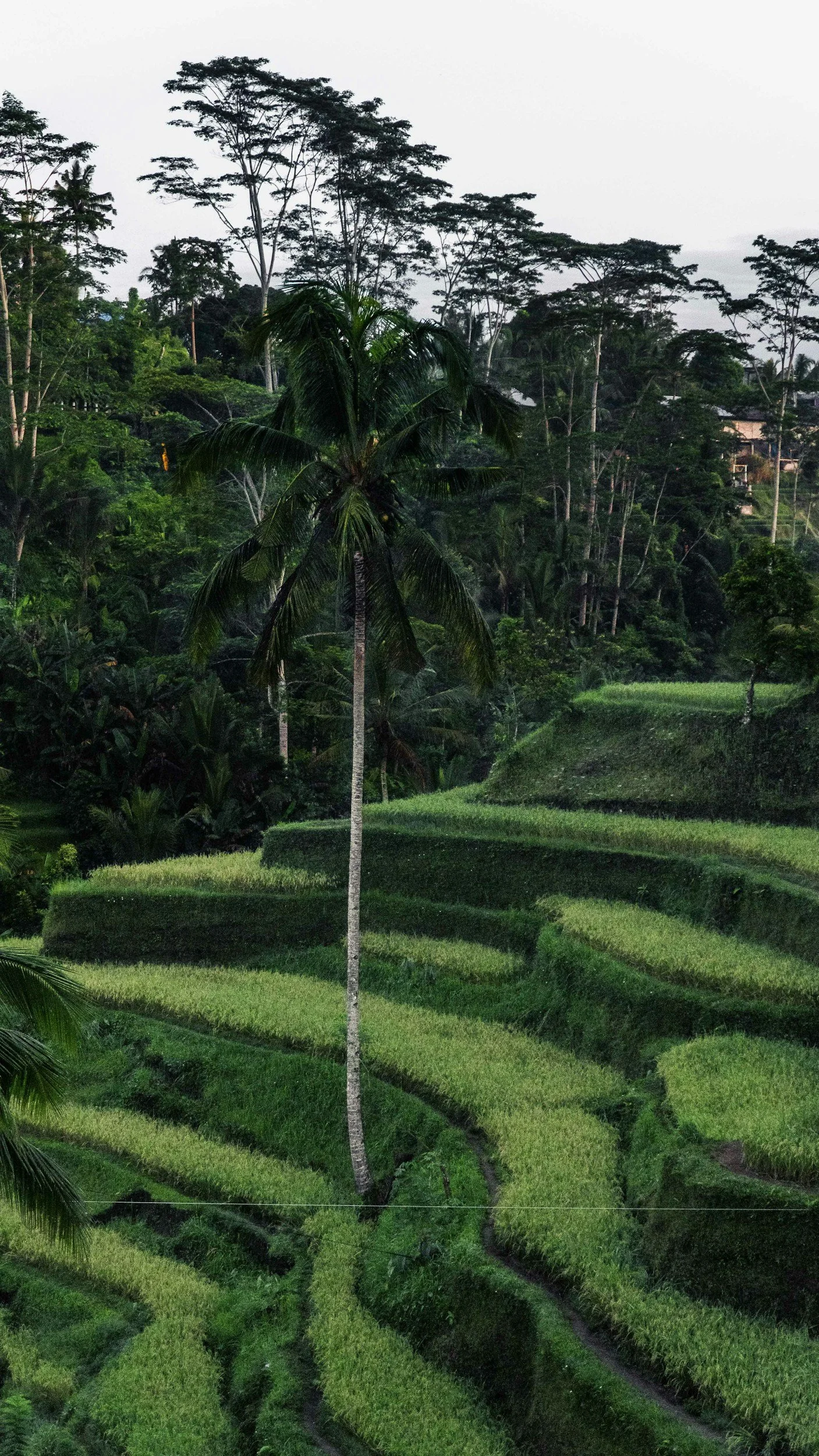 unsplash-image-TlKAhq8BHo8.jpg