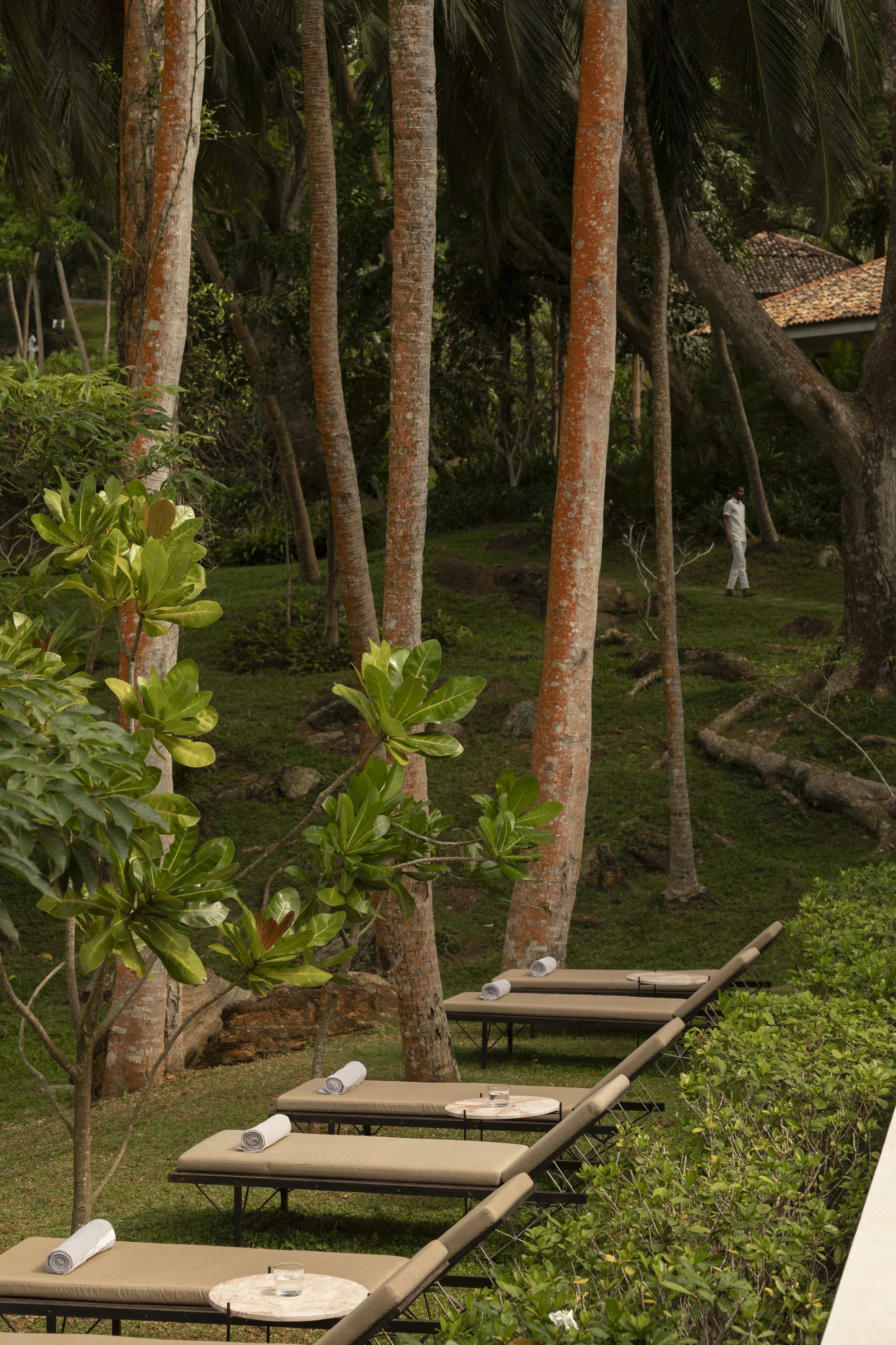 Outdoor lounge area with beige cushioned sunbeds, rolled towels, round tables, set among lush green trees and plants in a tropical setting.