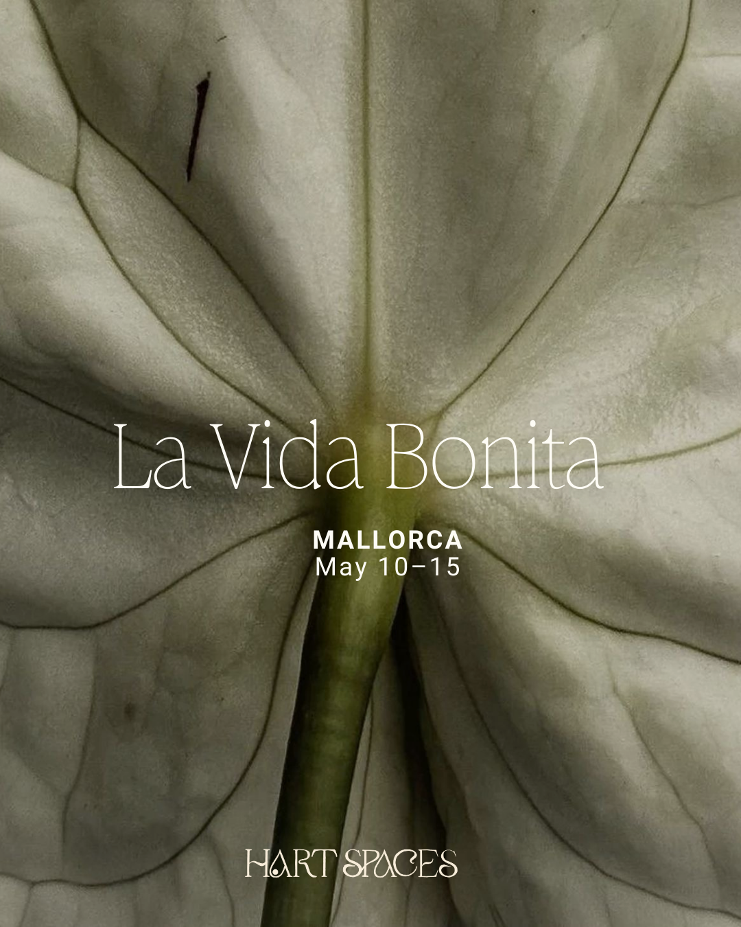 Houses built along a rocky hillside above turquoise water, with trees at the top.