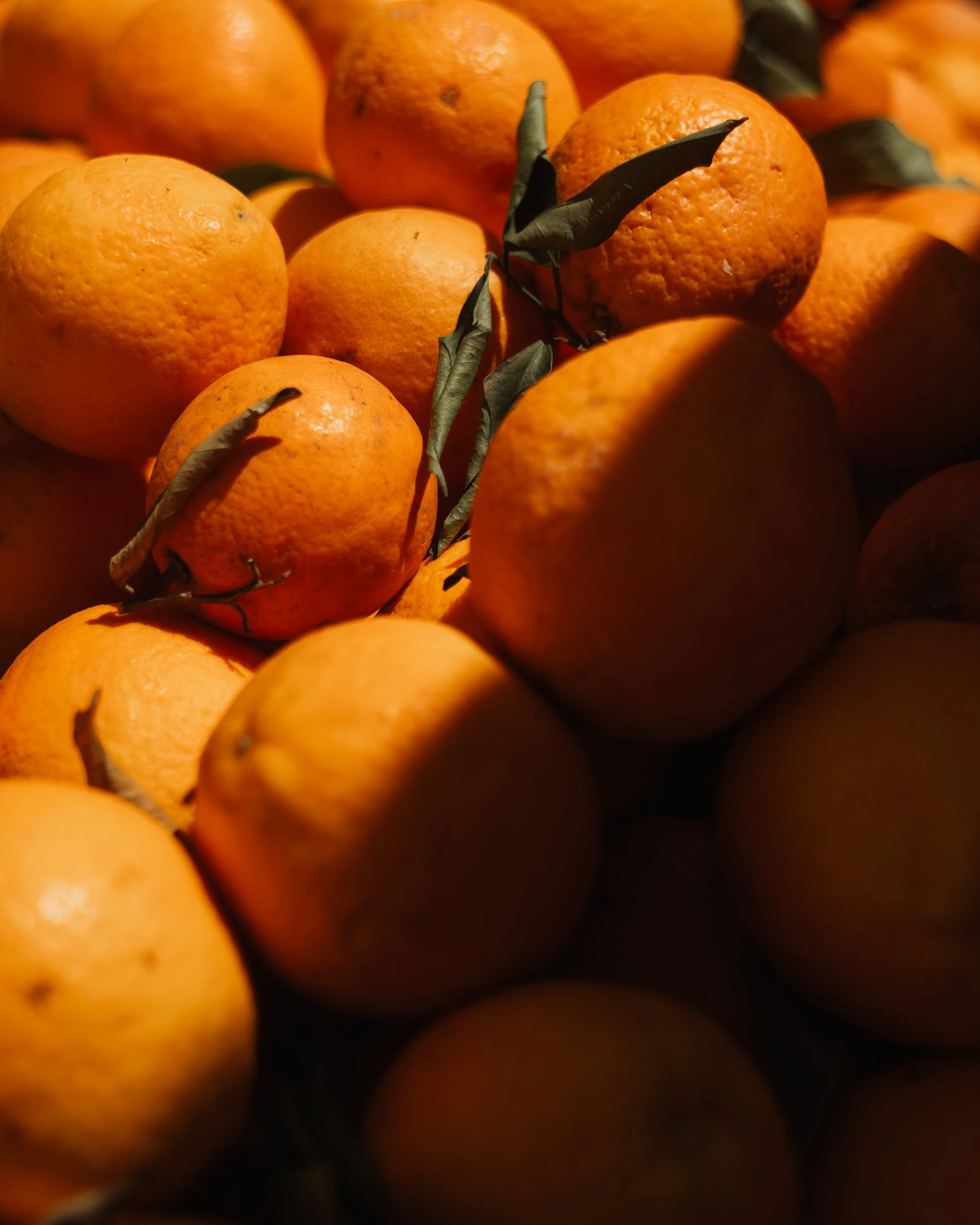 Close-up of a pile of oranges with some green leaves still attached.
