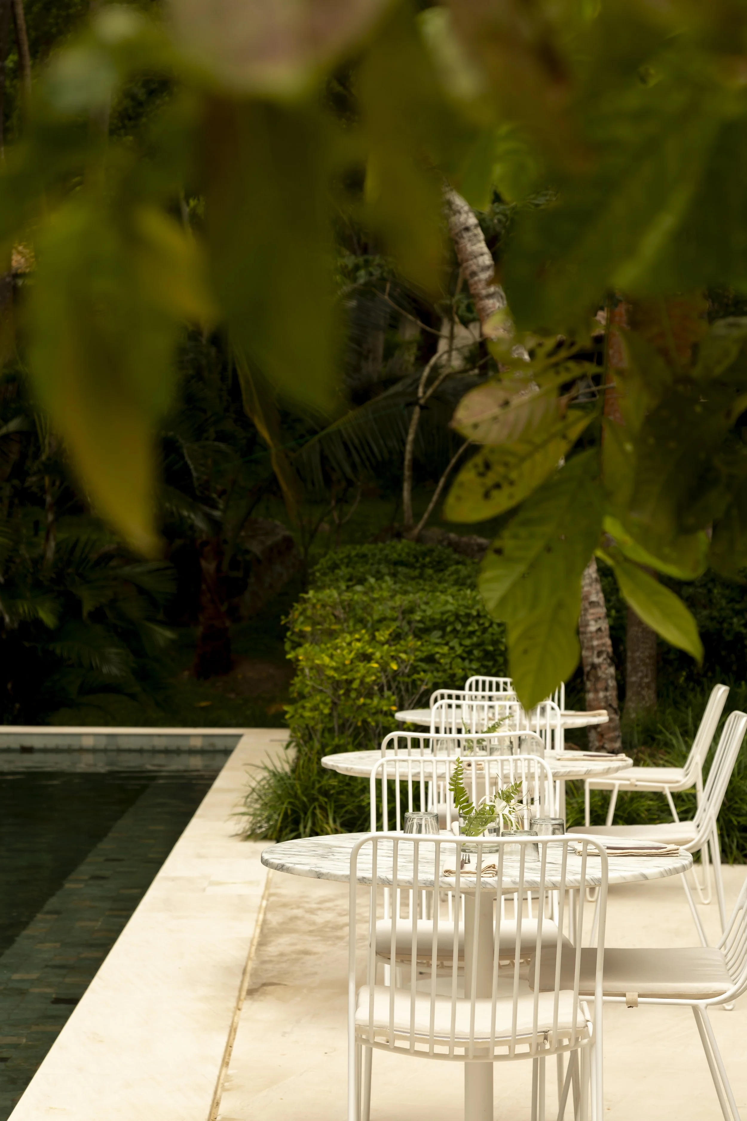 Copy of IMG_1804.jpeg