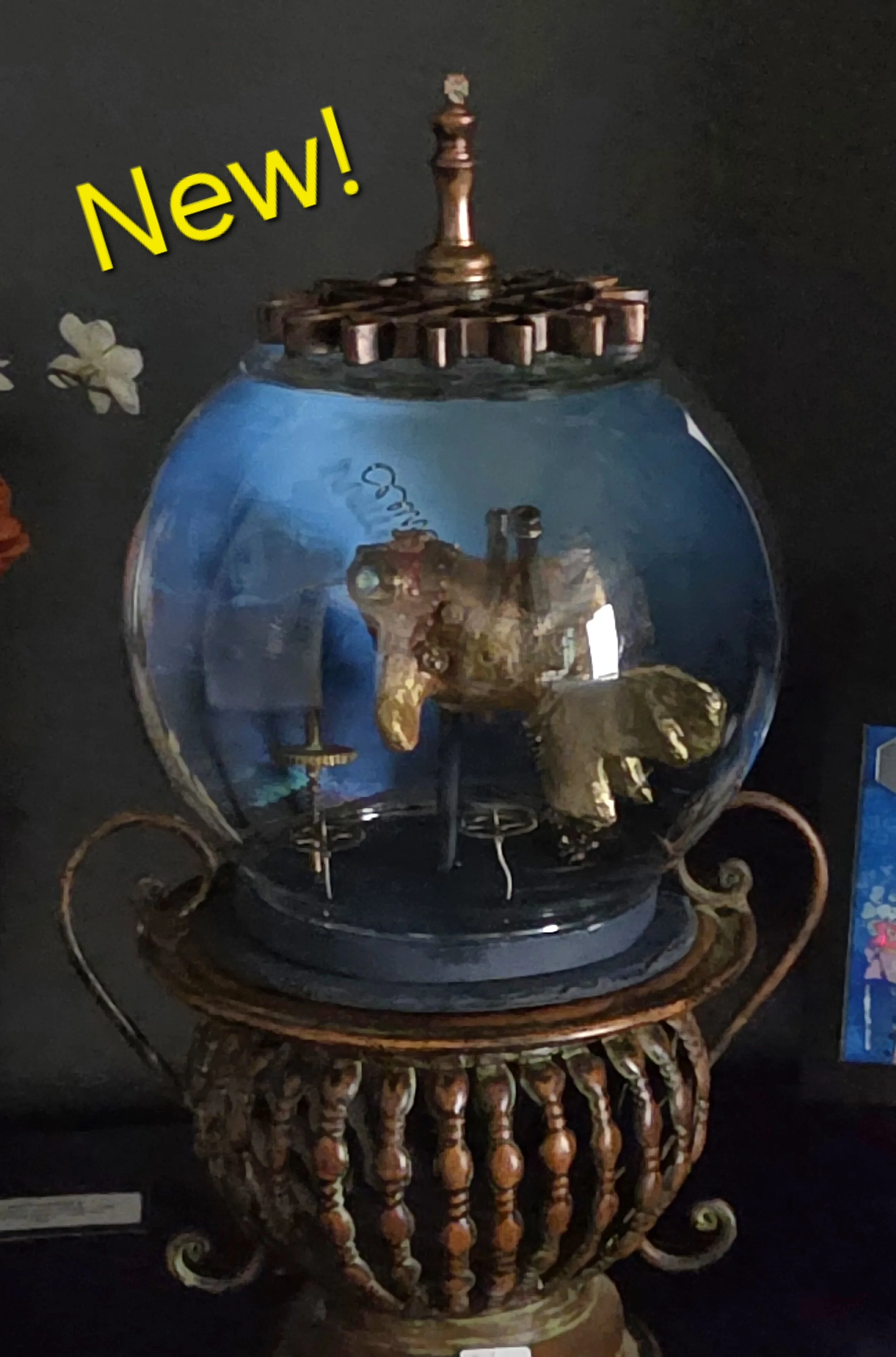 fishbowl.jpg