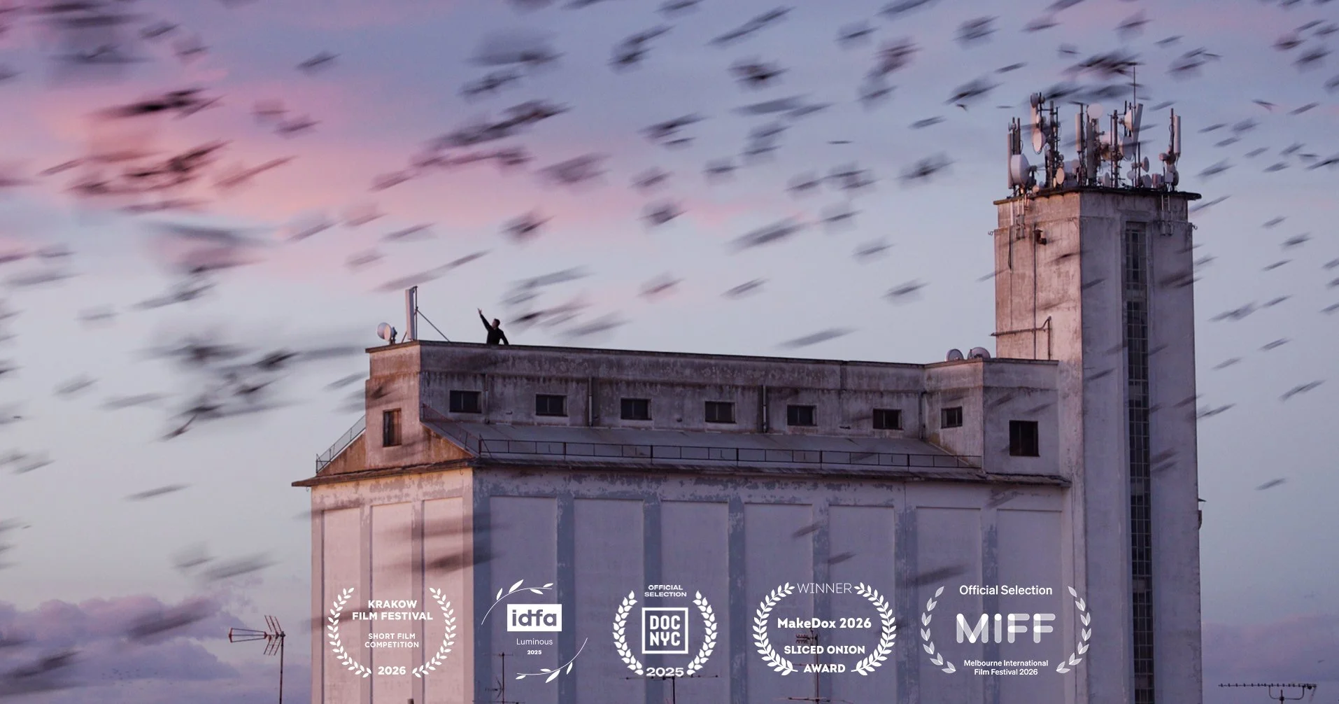 MURMURATIONS - Documentary