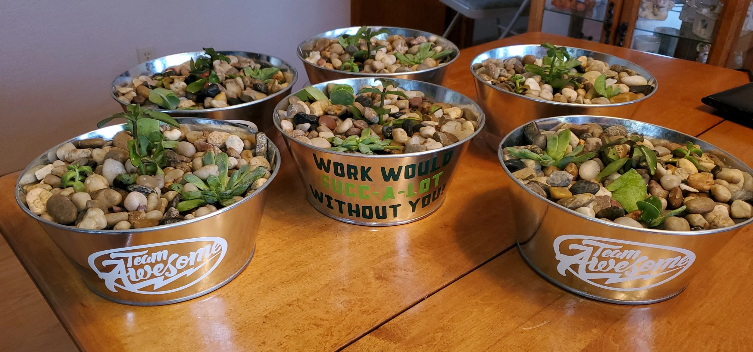 Six metal containers with small rocks and green sprouting plants on a wooden table, one container has a motivational quote 'Work would succ-a-lot without you!' and another has a 'Team Awesome' logo.