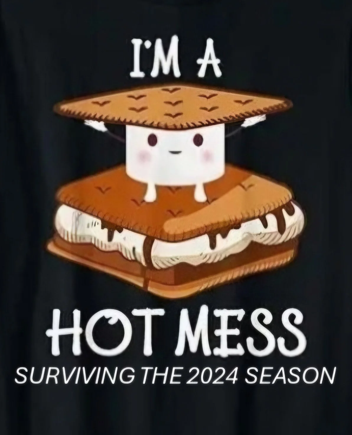 A cartoon marshmallow character wearing a cowboy hat, standing inside a s'mores sandwich with a chocolate bar, graham cracker, and marshmallow. Text above and below reads, 'I'm a Hot Mess' and 'Surviving the 2024 Season'.