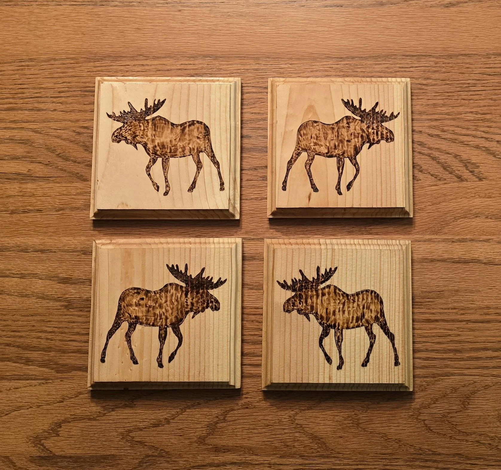 Four wooden coasters arranged in a 2x2 grid, each engraved with a different moose illustration.