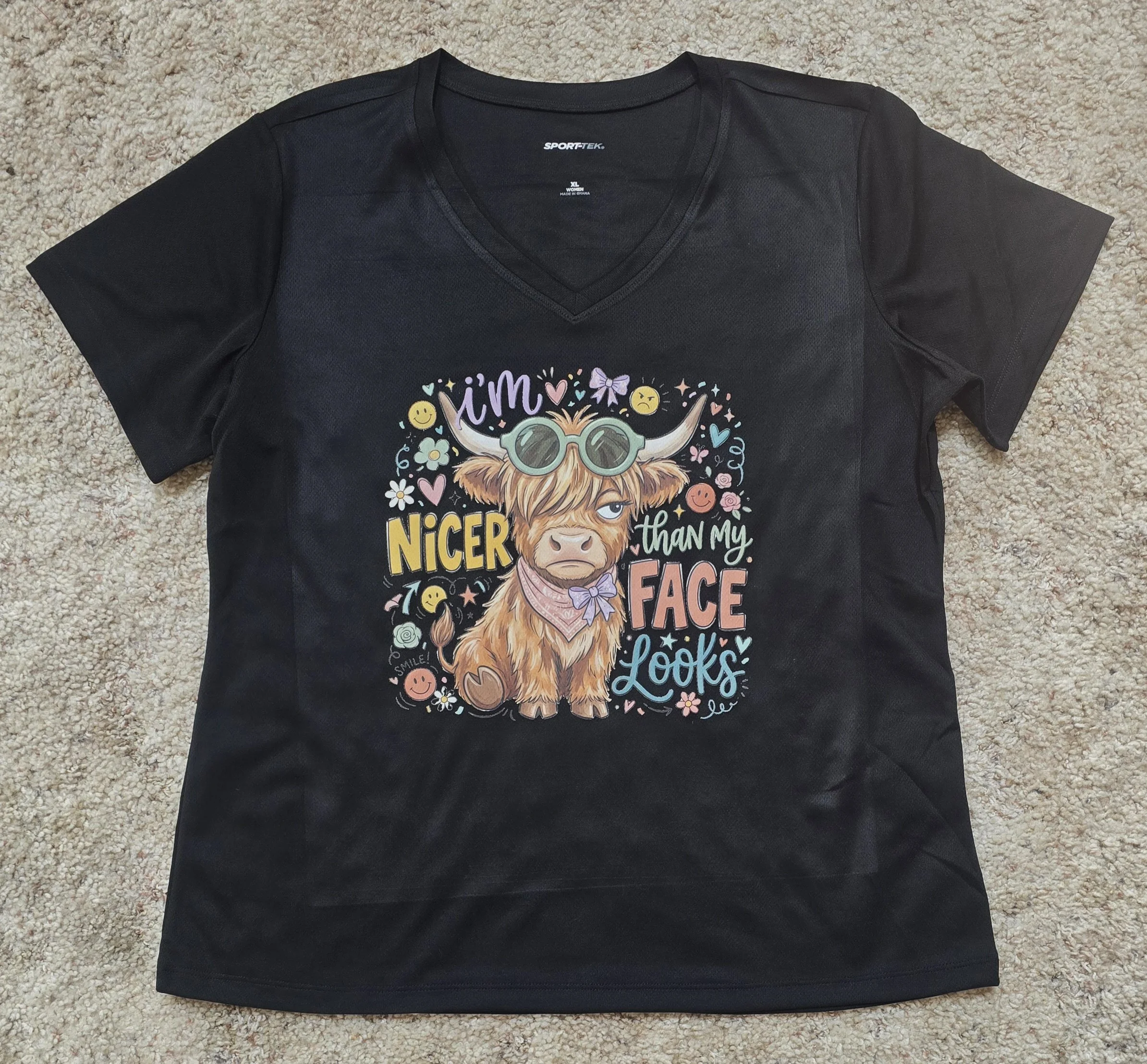 "I'm Nicer than my face looks" Ladies V-neck Shirt