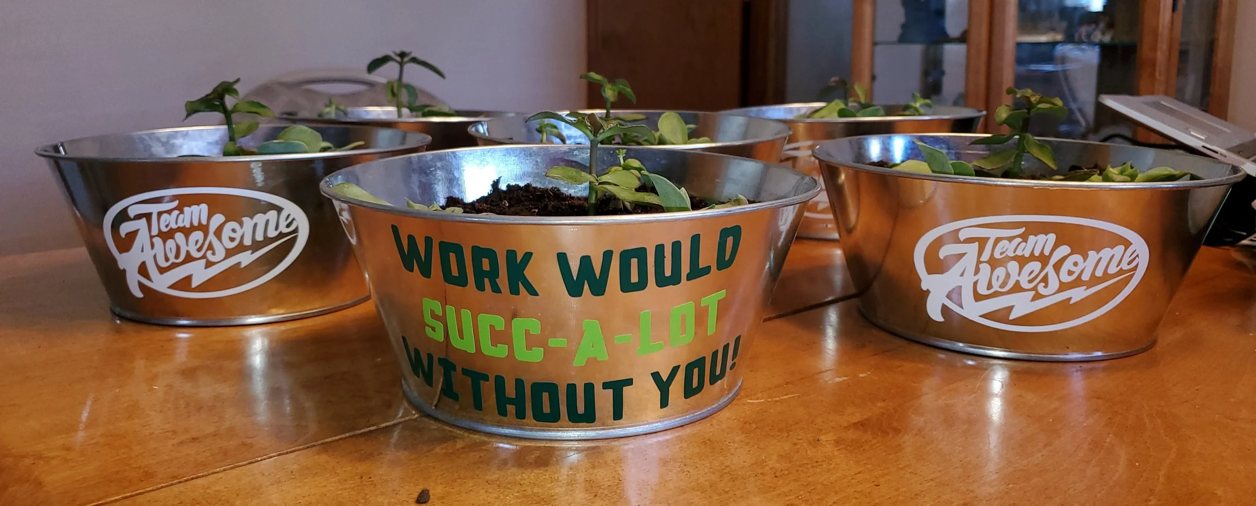 Metal plant pots with sprouting plants on a wooden table. The pots have motivational and team slogans. The center pot says 'WORK WOULD SUCC-A-LOT WITHOUT YOU!'