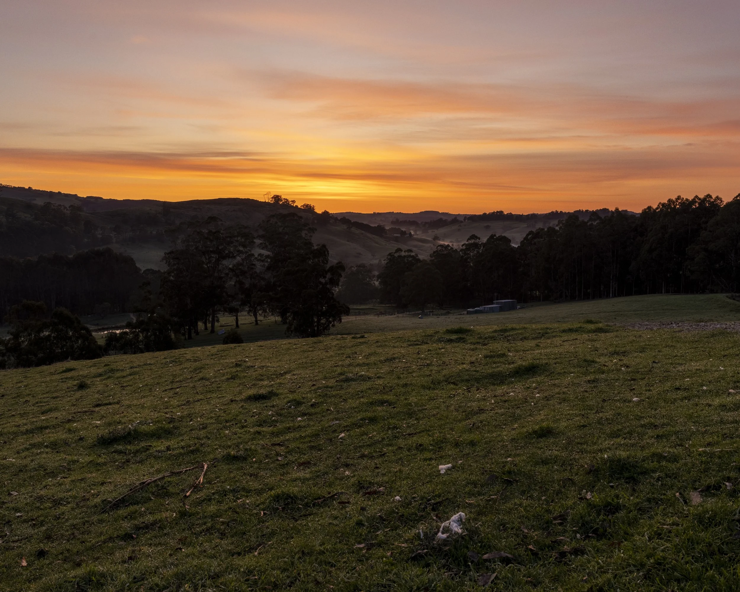 IMG_9872-HDR.jpg