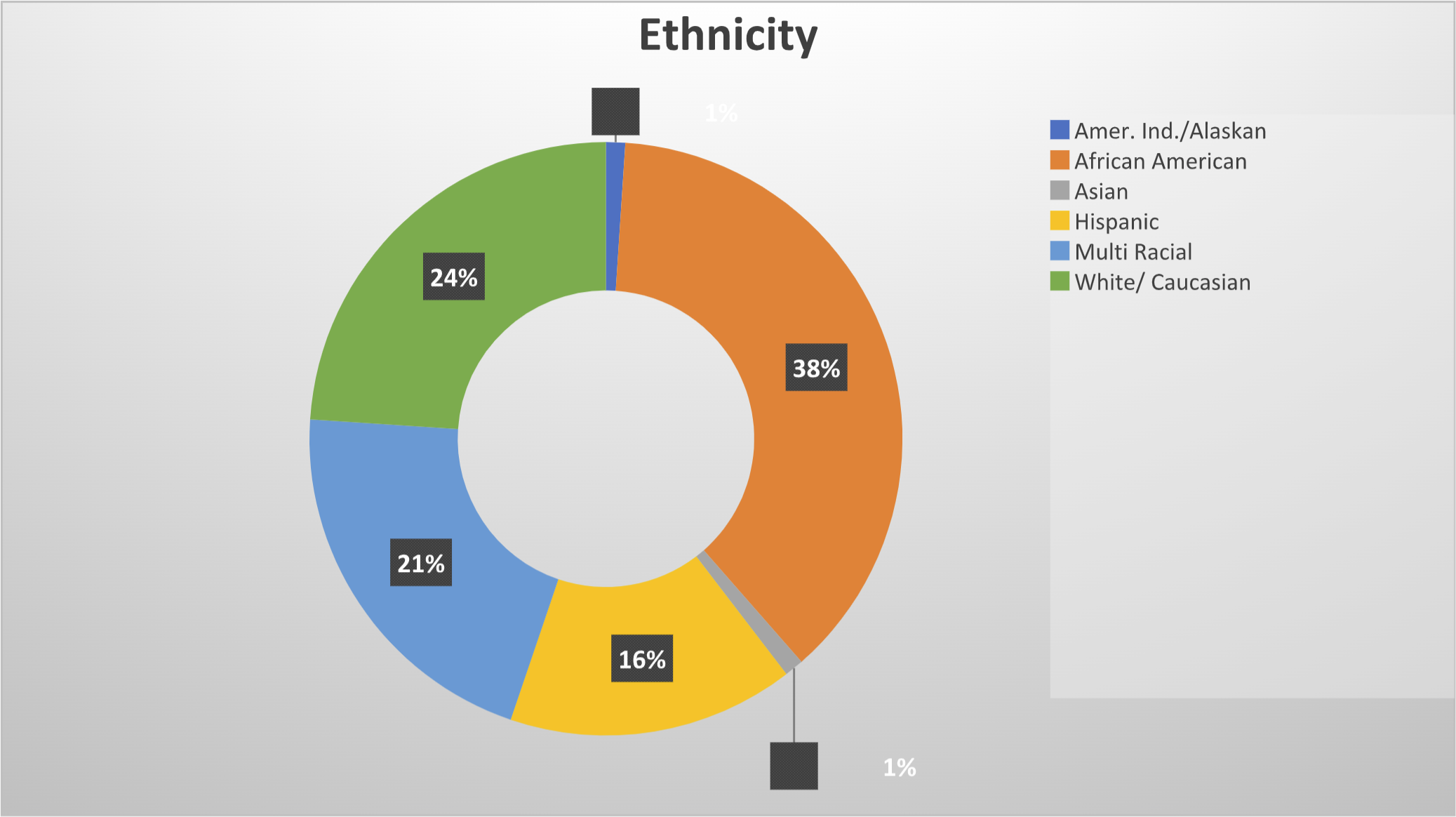 diversity-ethnicity-chart-donut.png