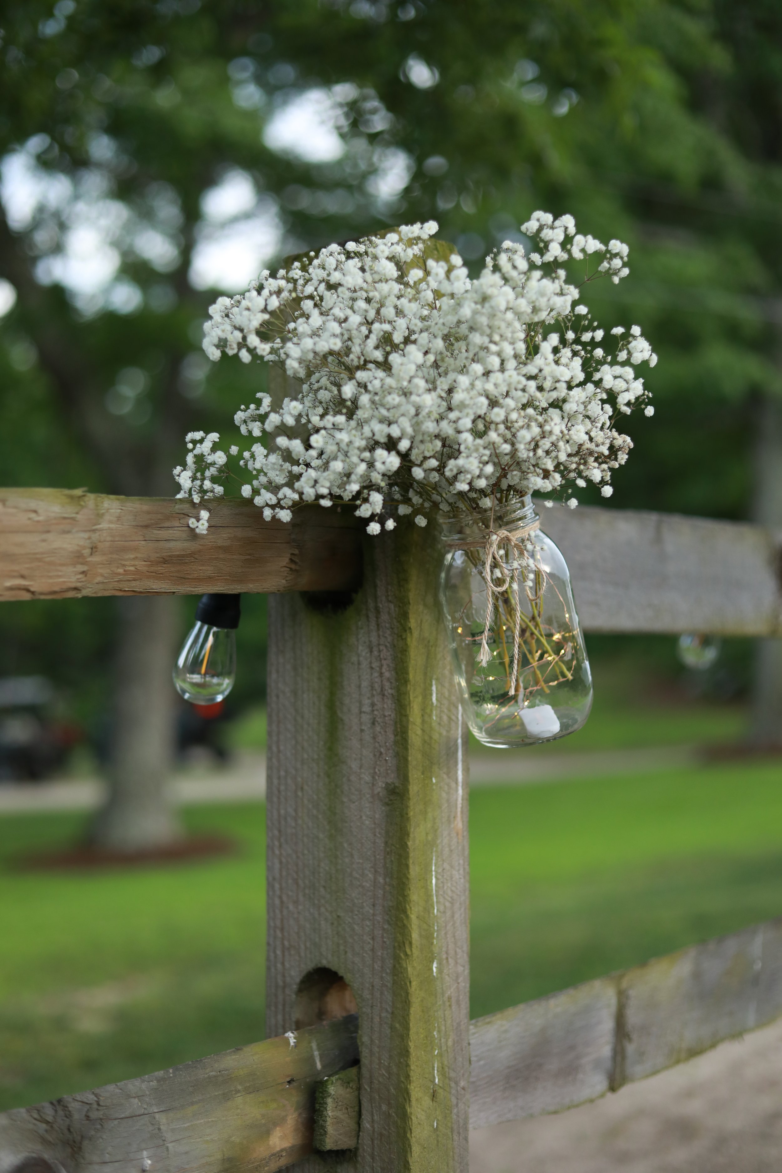 Glass jar with white flowers on wooden fence, green trees in background.