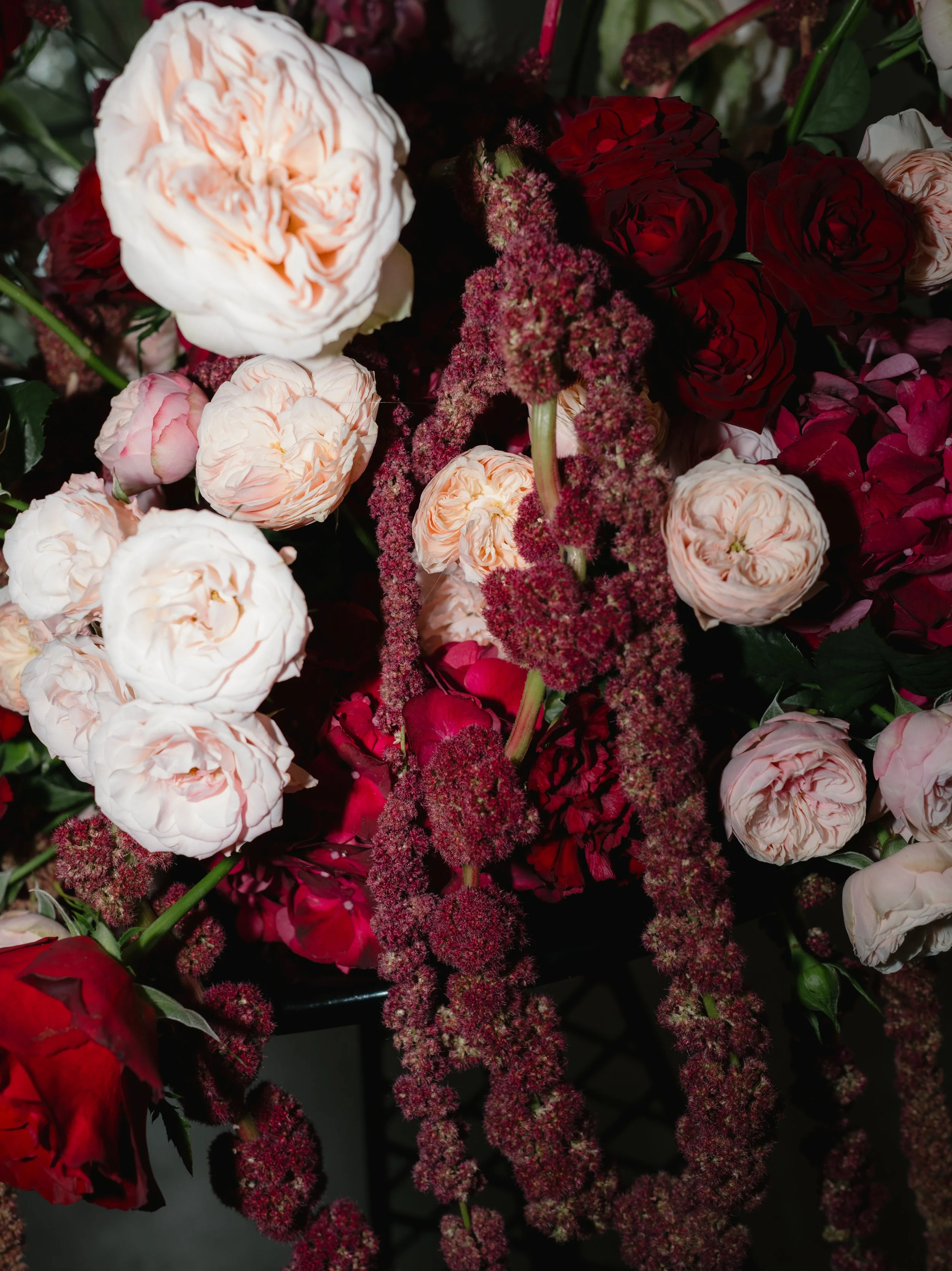 L1051146.jpg