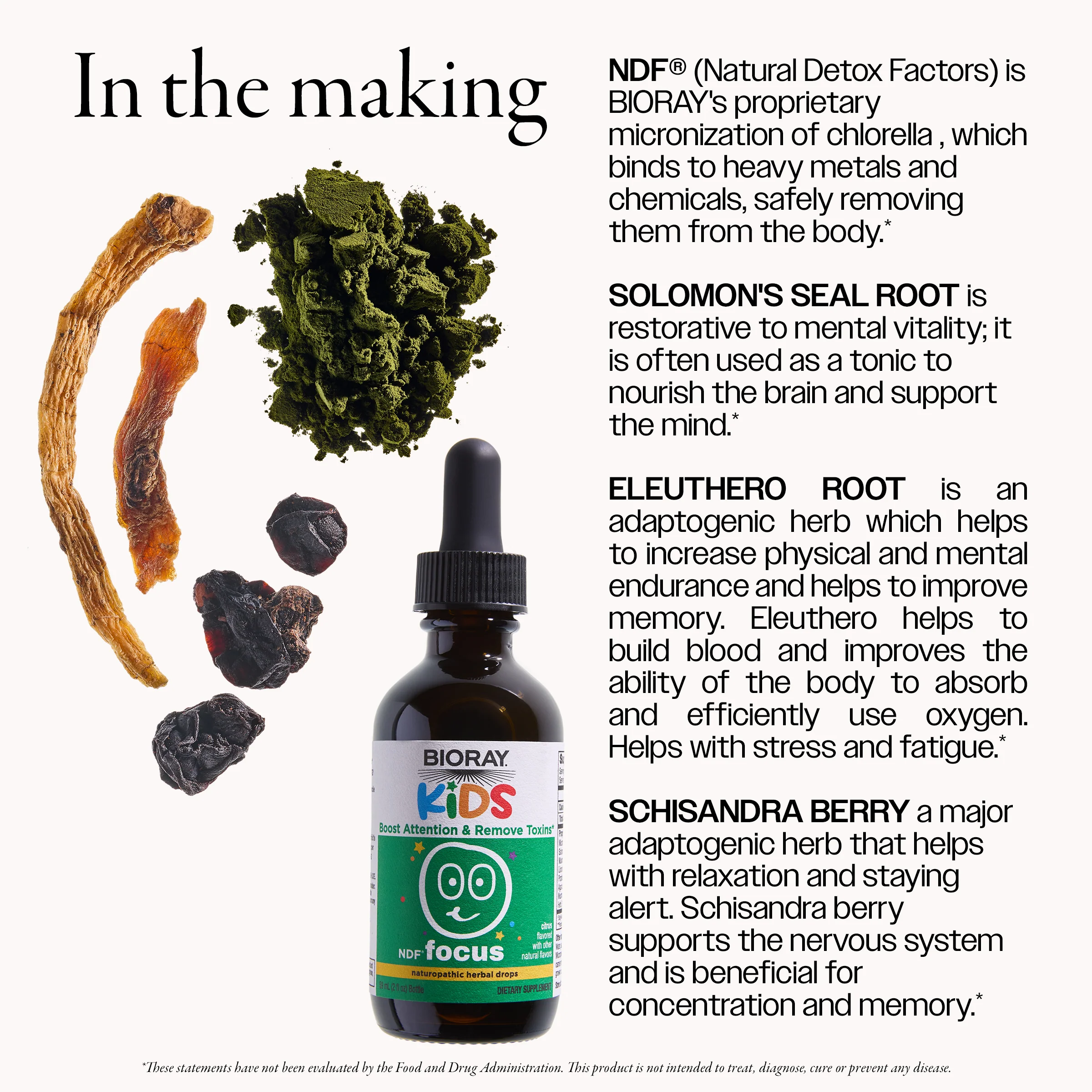 Focus_ingredients_may2.png