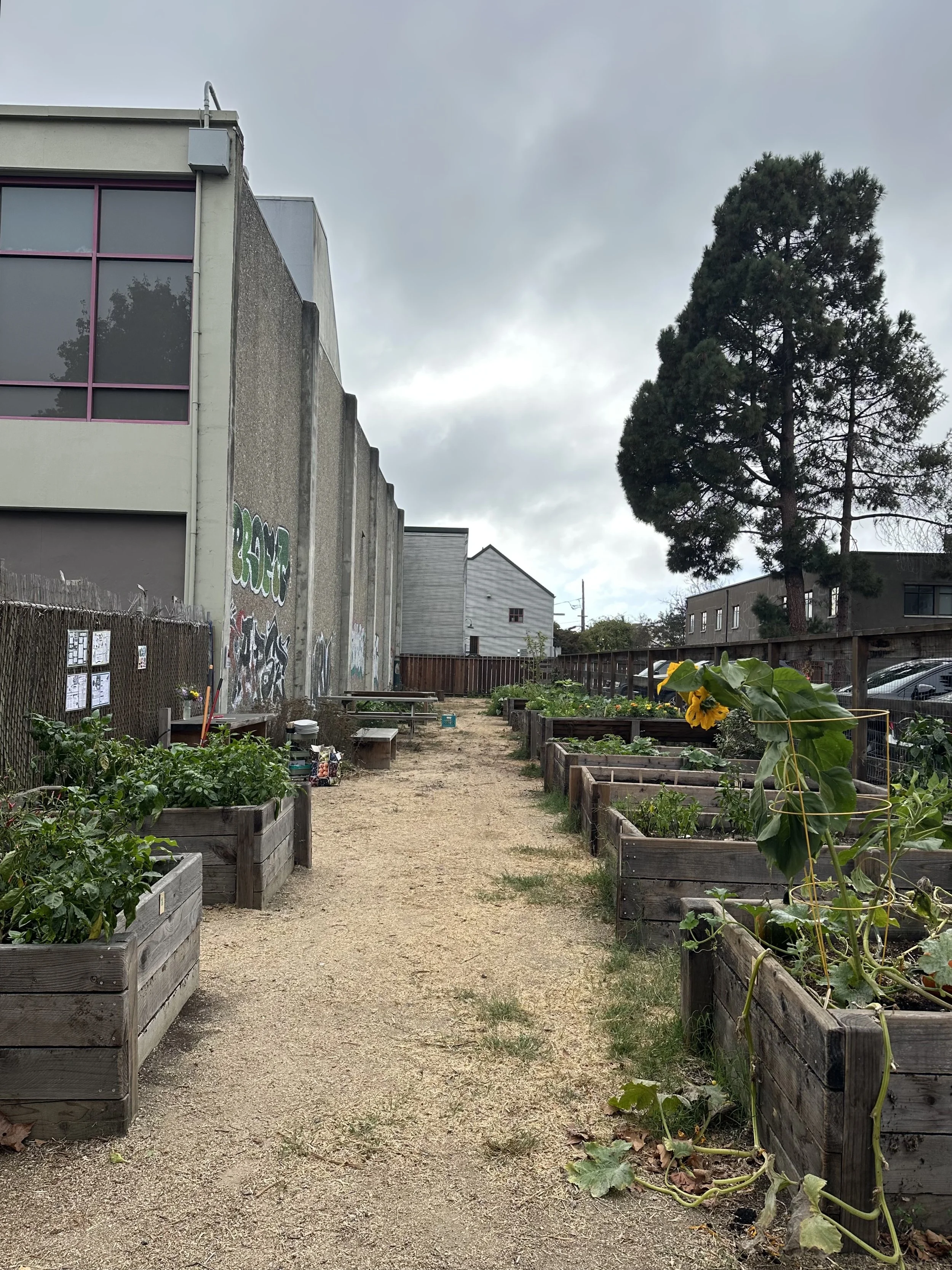 grow-gather-1026-IMG_1633.jpeg