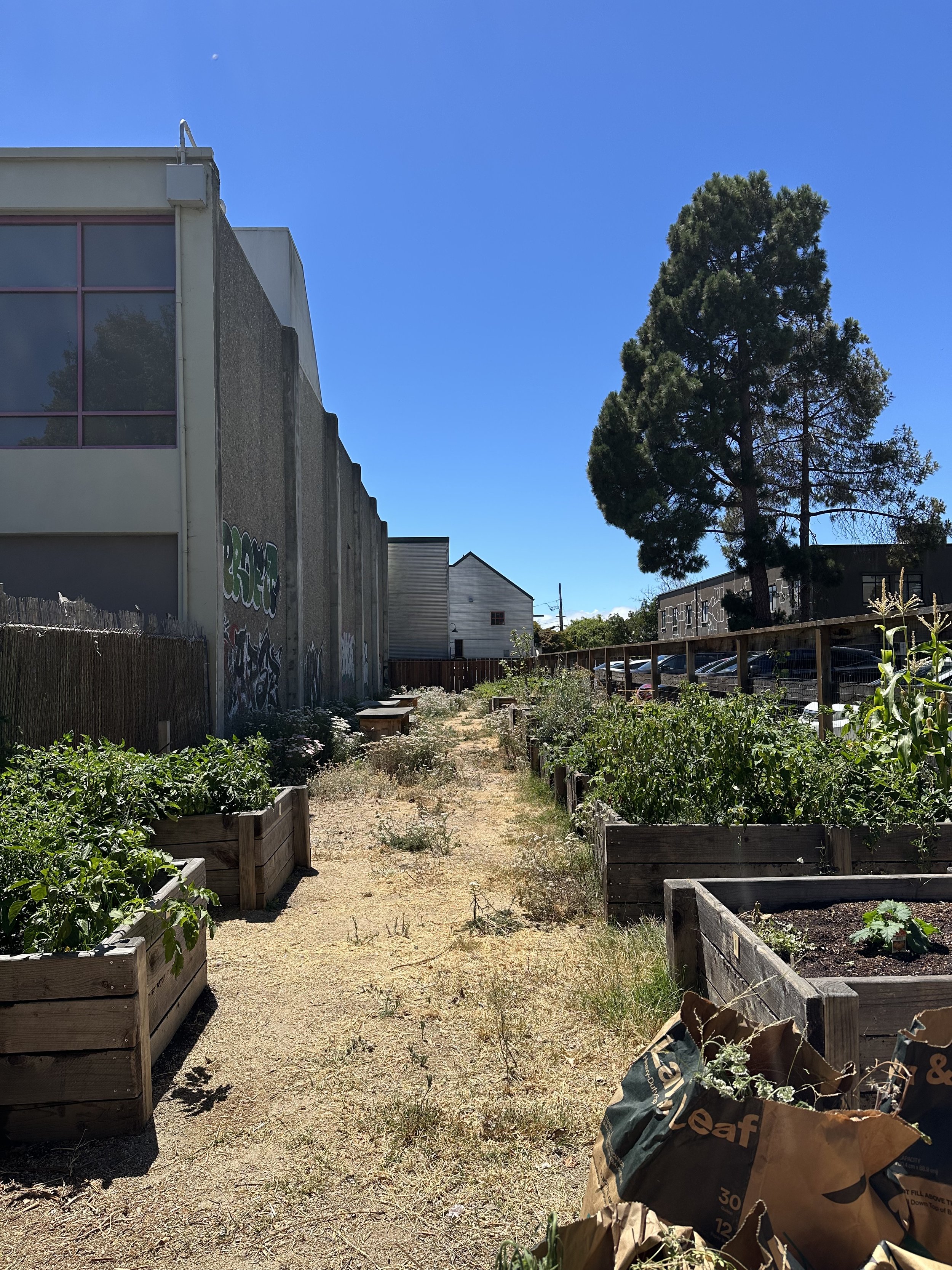 grow-gather-0726-IMG_9530.jpeg
