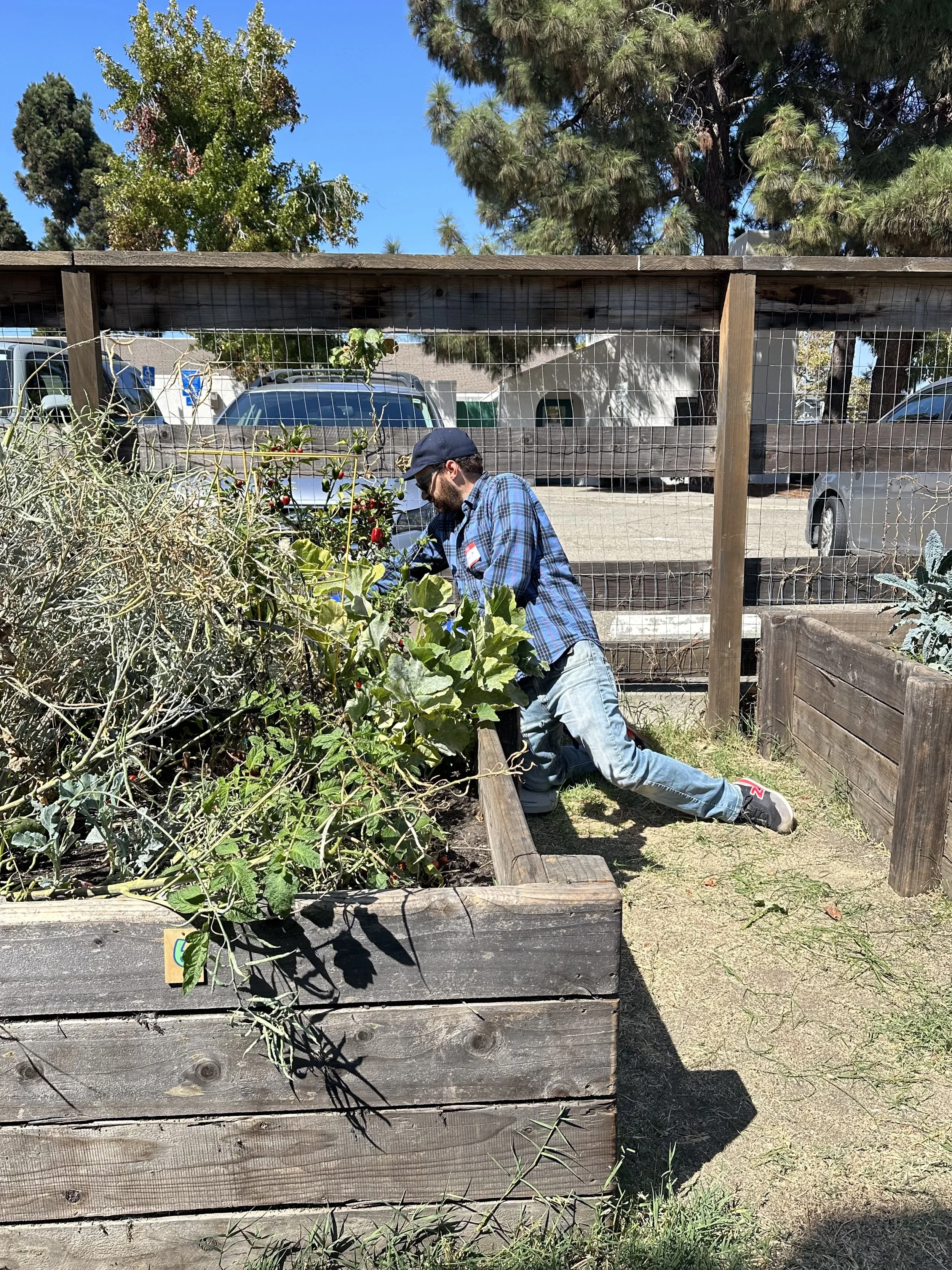 grow-gather-0926-IMG_1051.jpeg