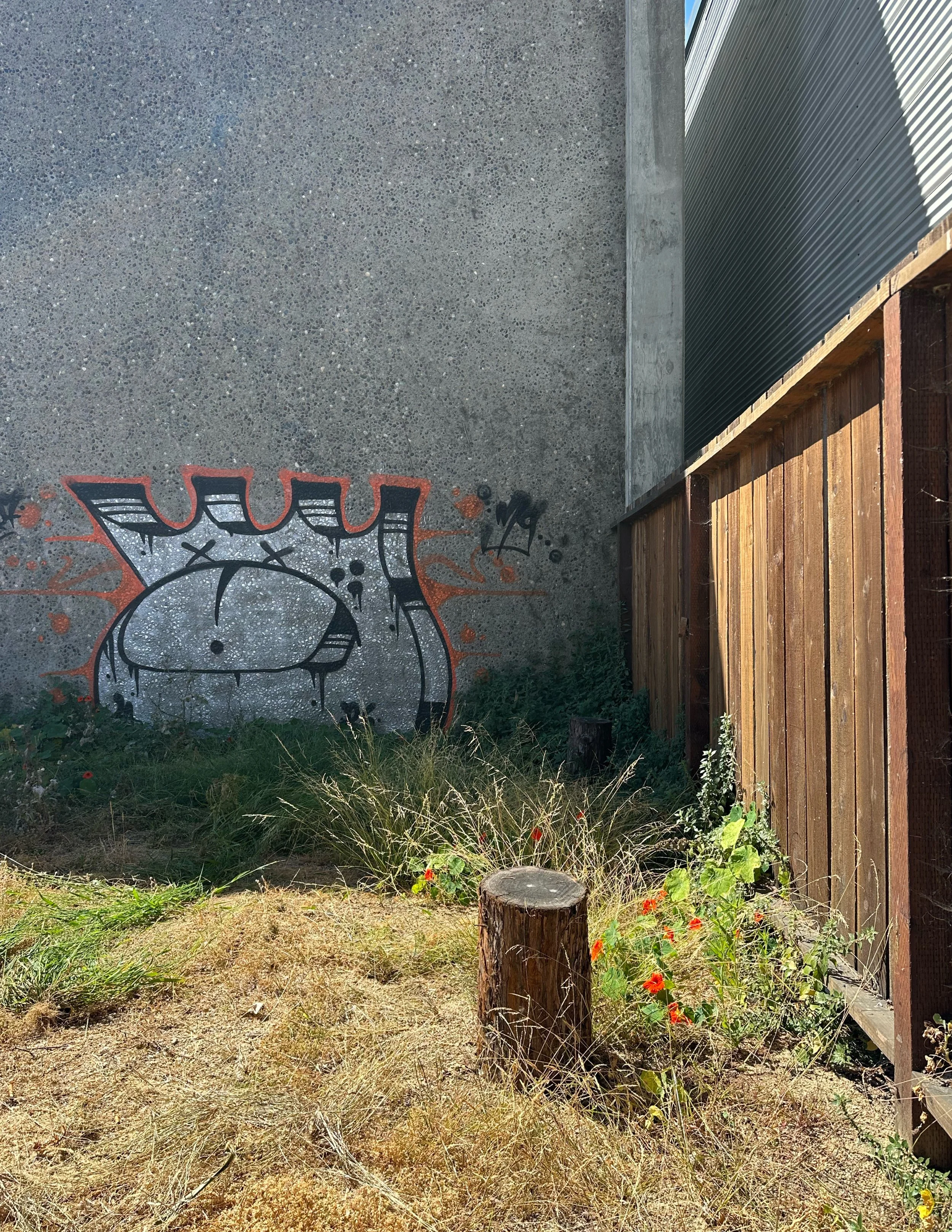 grow-gather-0726-before-after-Untitled - July 31, 2026 11.12 2.jpg