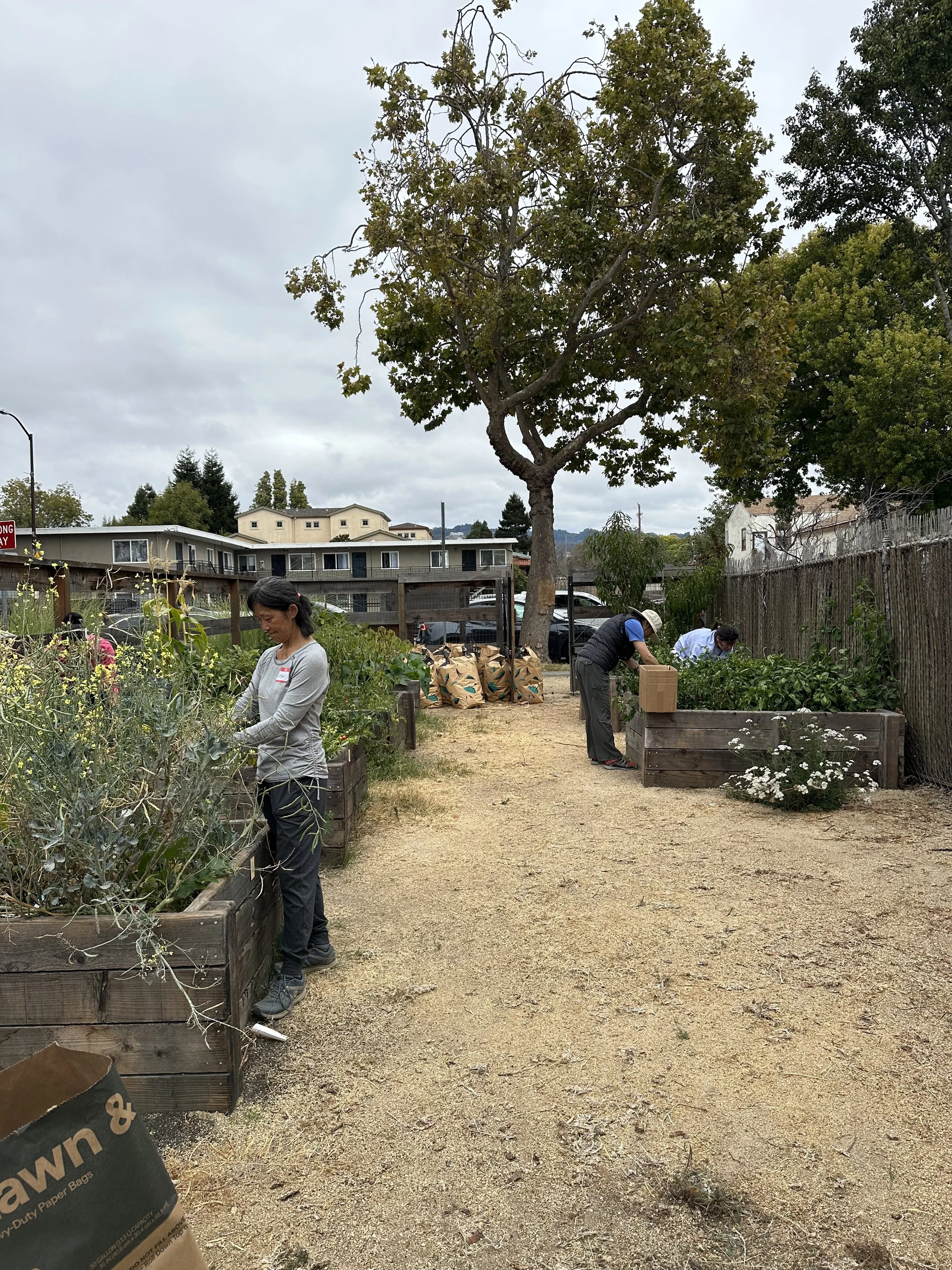 grow-gather-0826-IMG_0229.jpeg