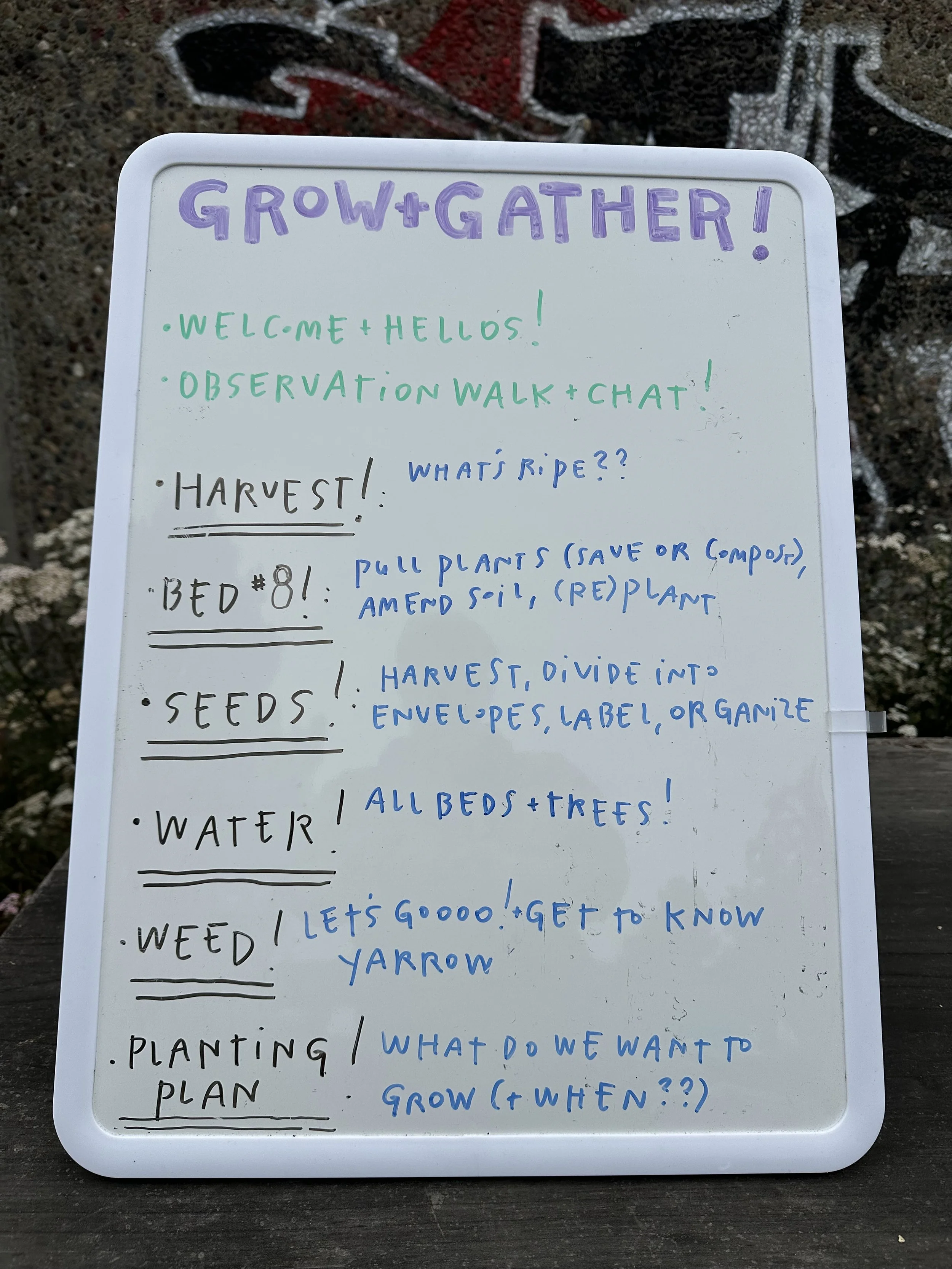 grow-gather-0826-IMG_0216.jpeg