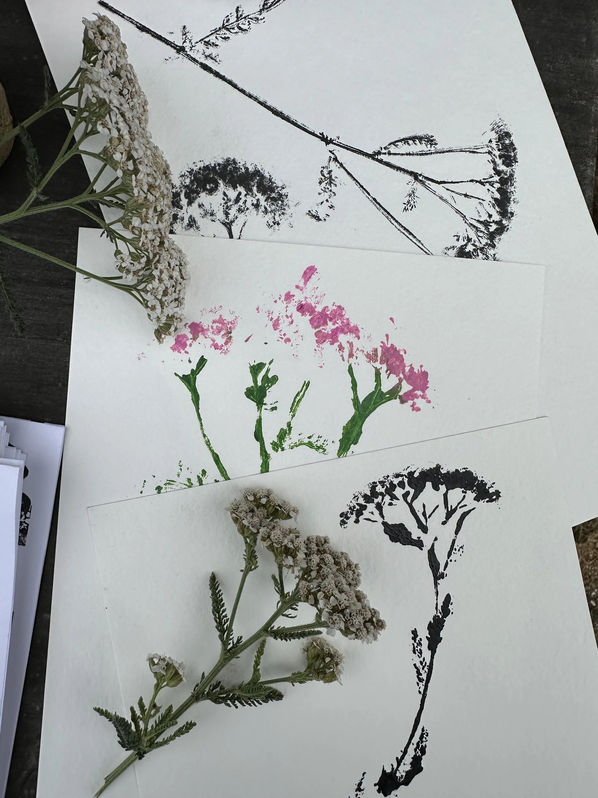 grow-gather-0826-IMG_0223.jpeg