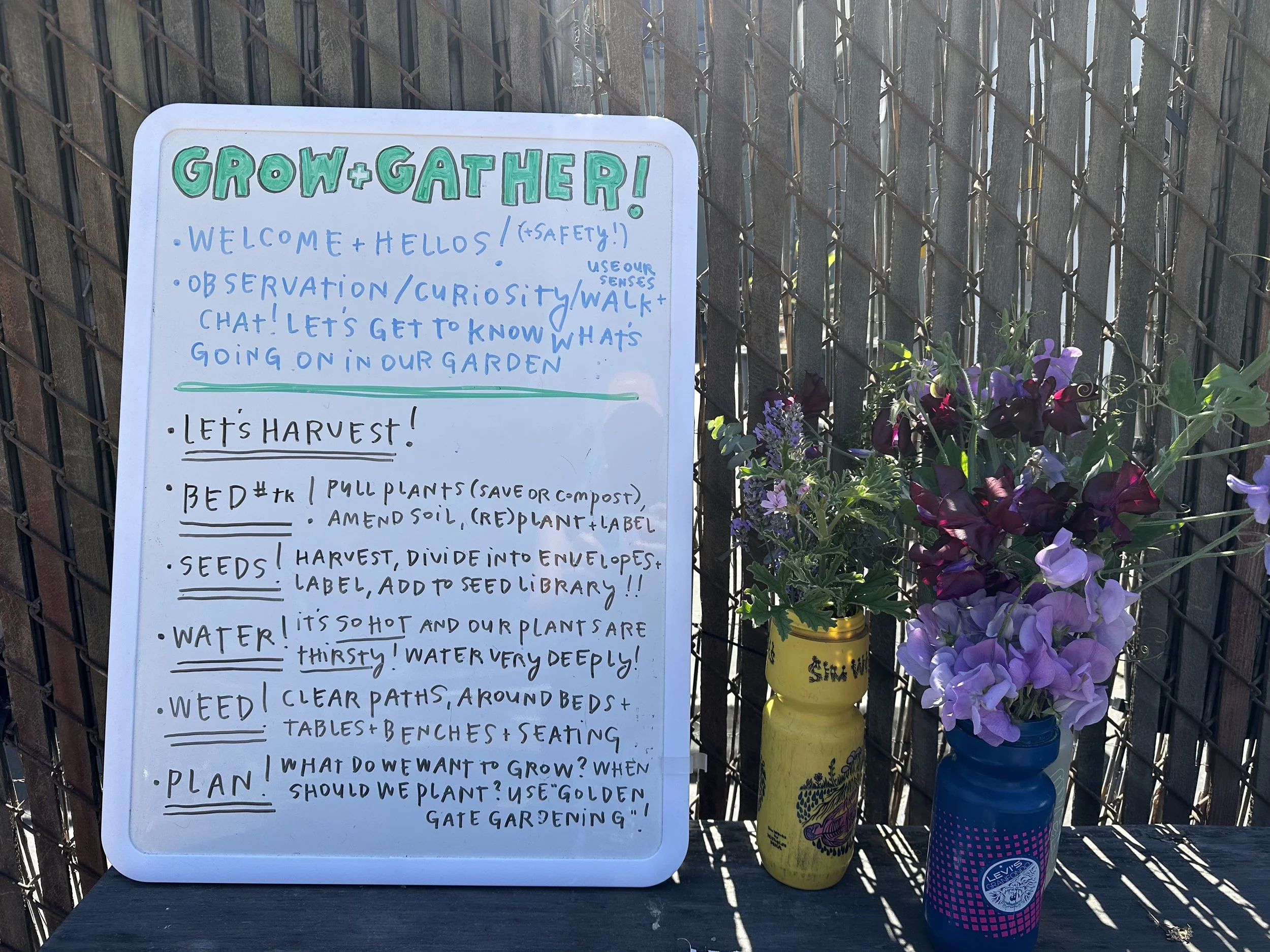 grow-gather-0926-IMG_1026.jpeg