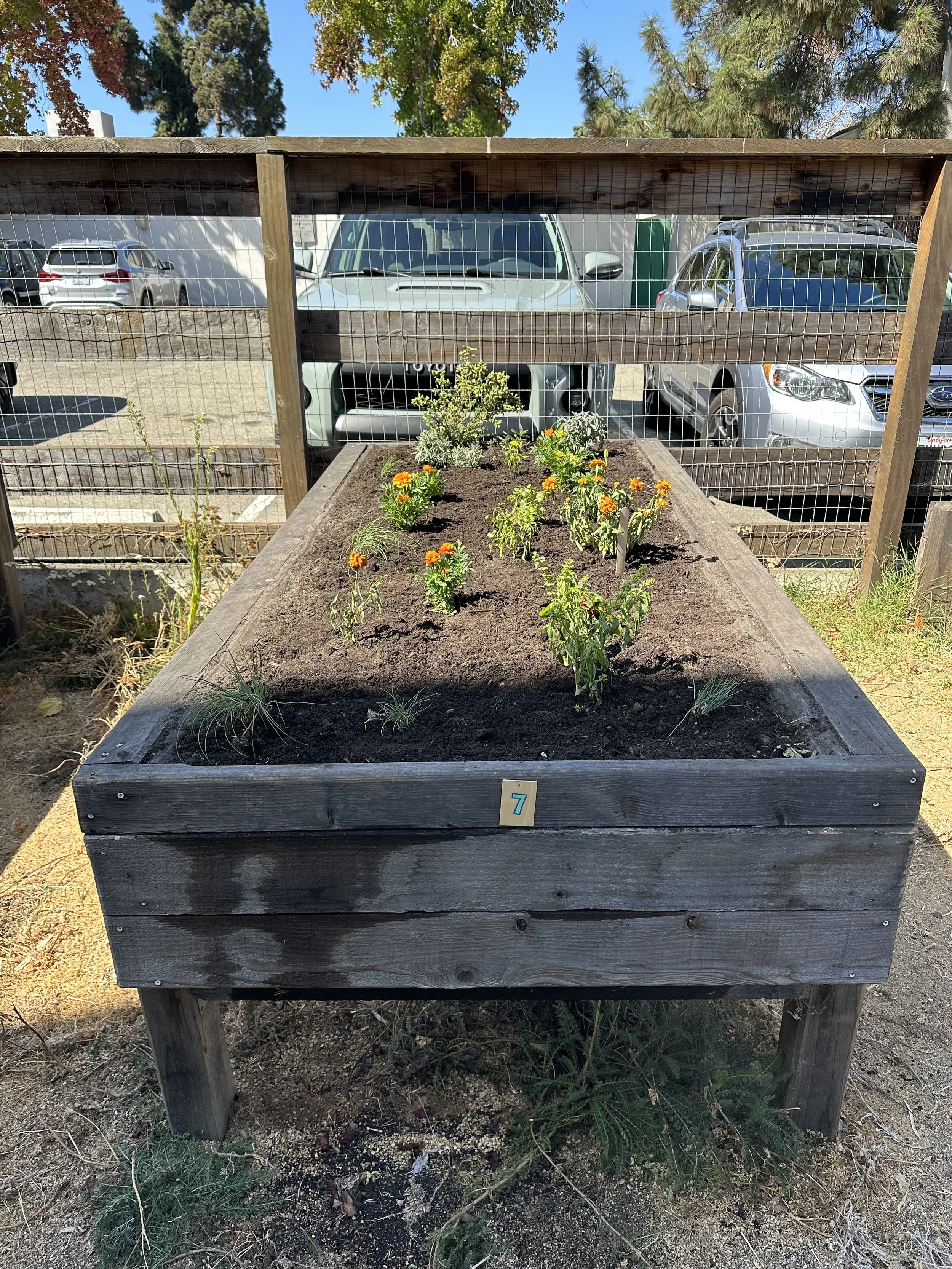 grow-gather-0926-IMG_1060.jpeg