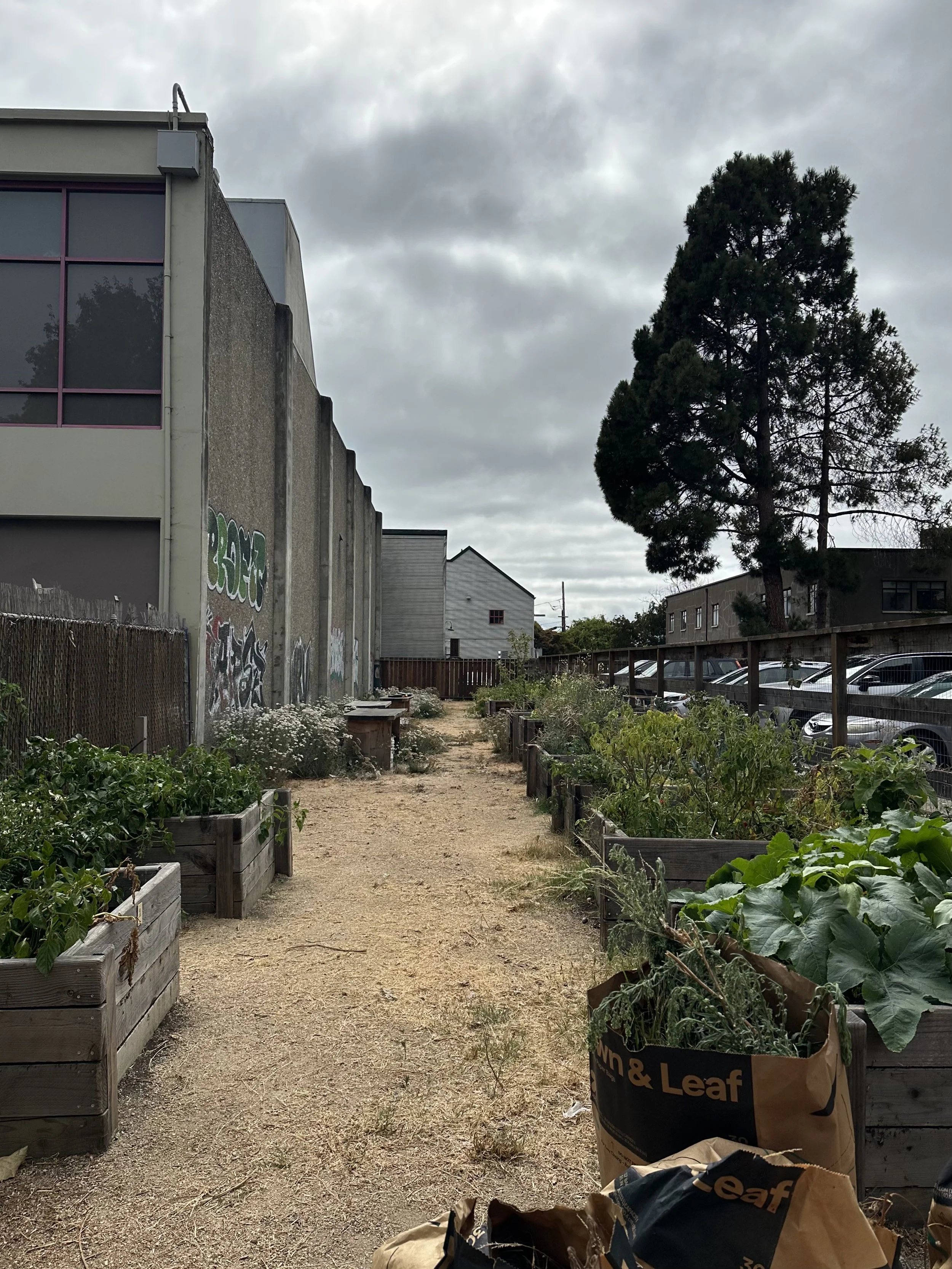 grow-gather-0826-IMG_0235.jpeg