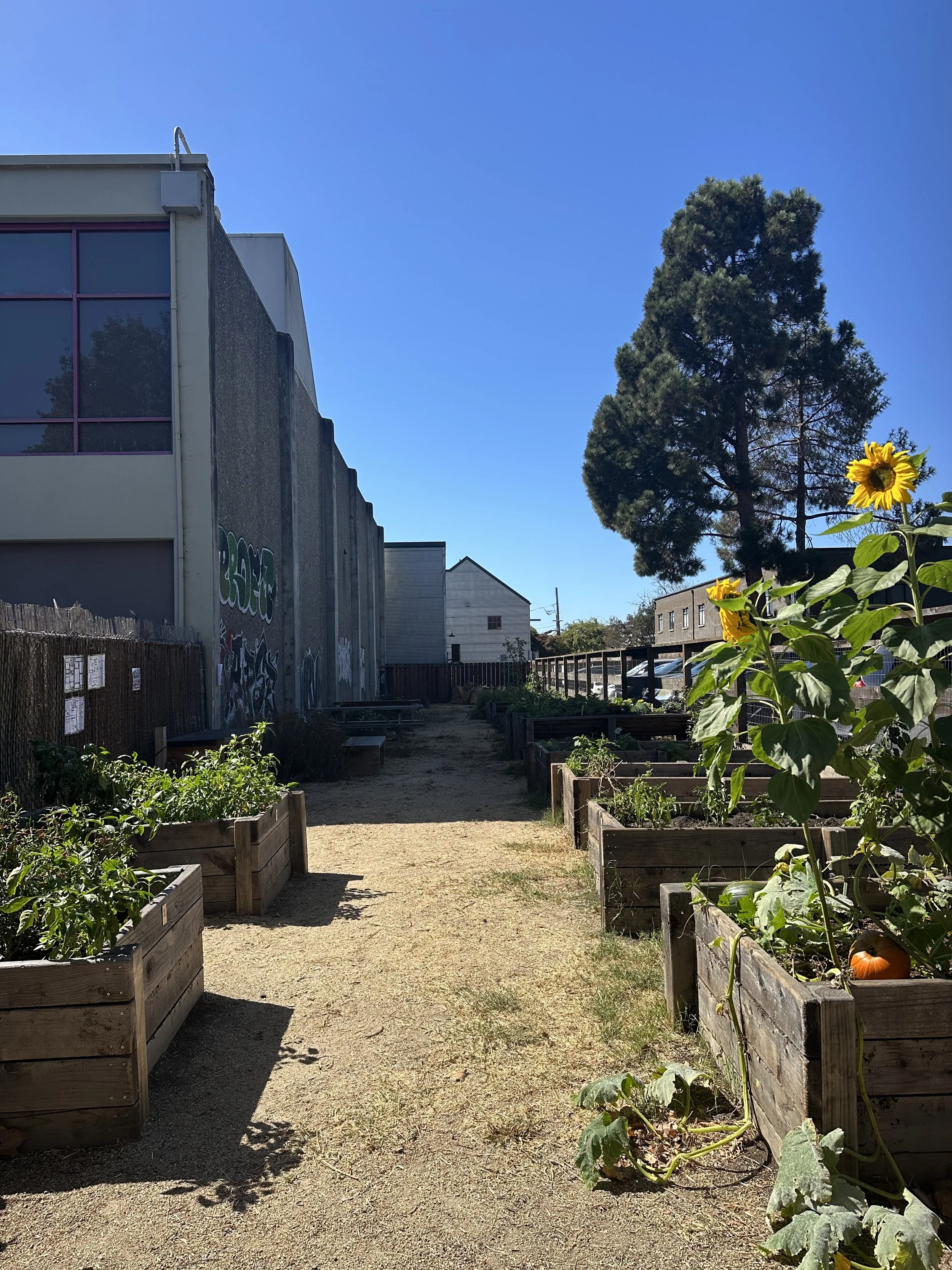 grow-gather-0926-IMG_1362.jpeg