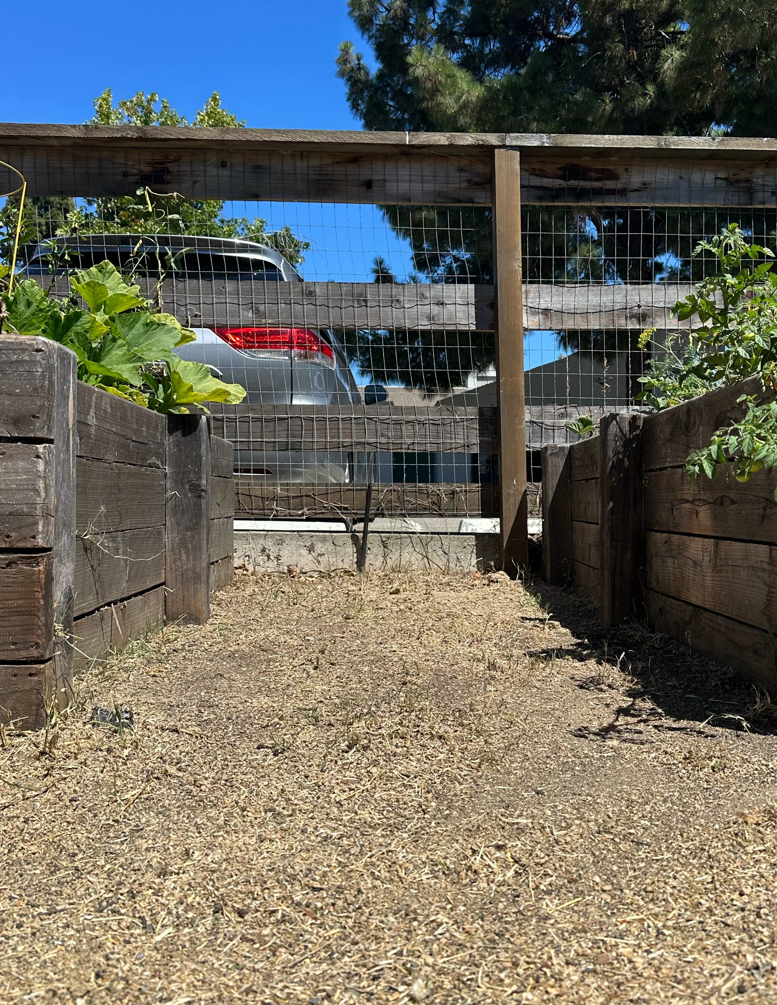 grow-gather-0726-before-after-Untitled - July 29, 2026 16.26.jpg