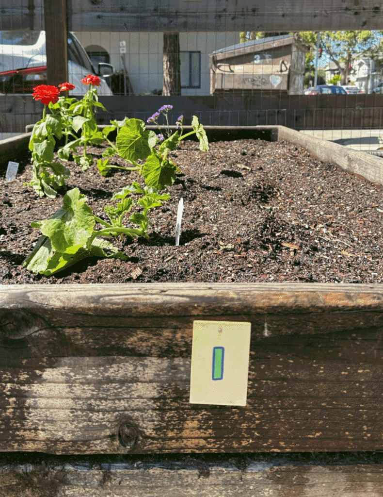 grow-gather-beds.gif