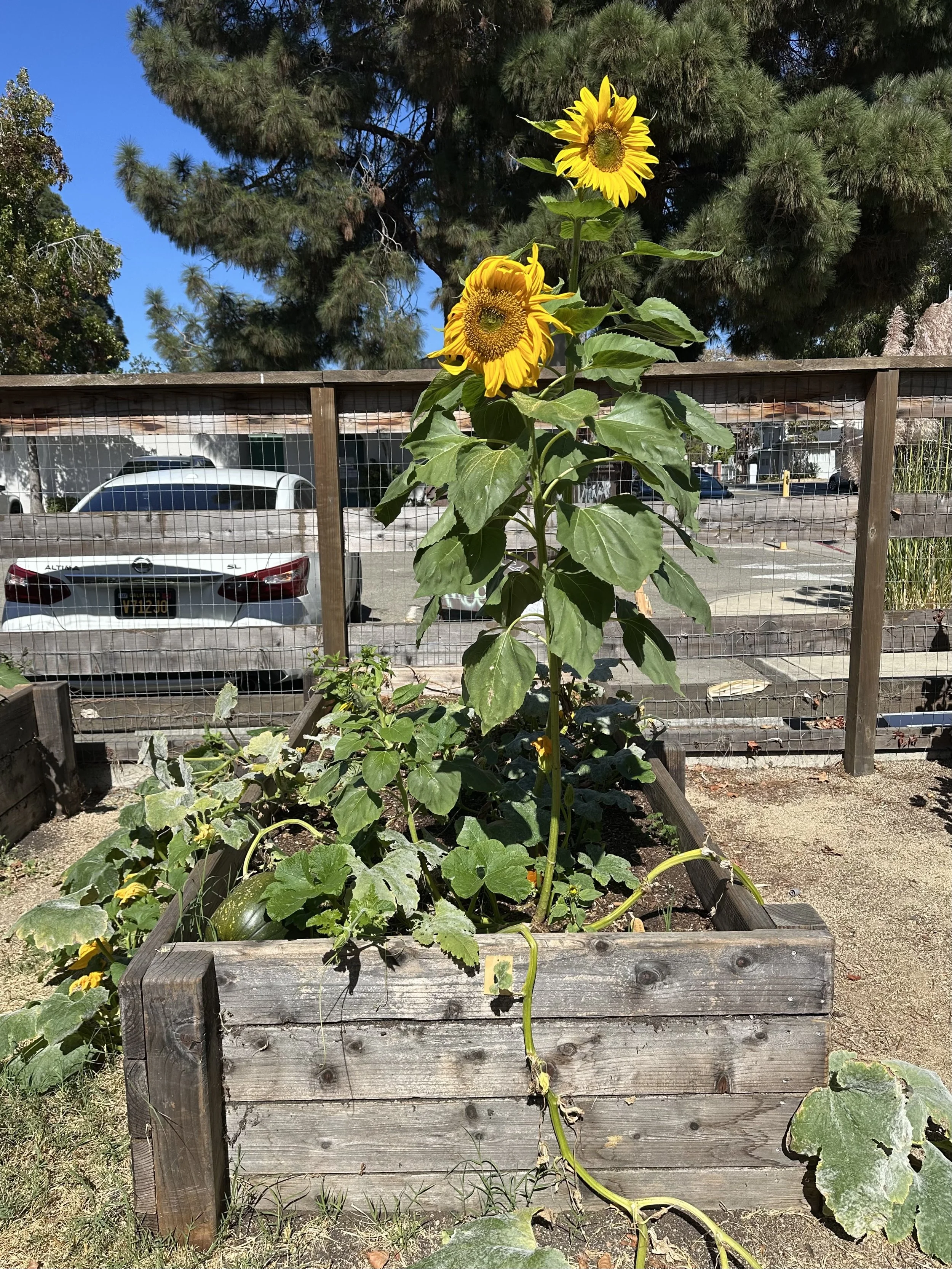 grow-gather-0926-IMG_1340.jpeg