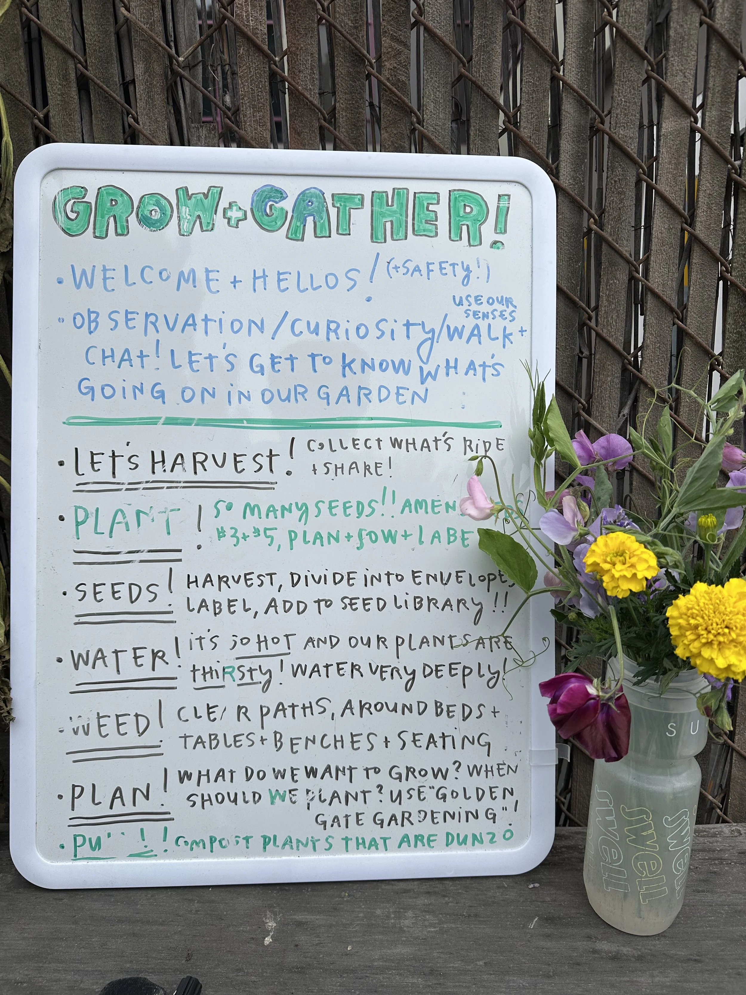 grow-gather-1026-IMG_1625.jpeg
