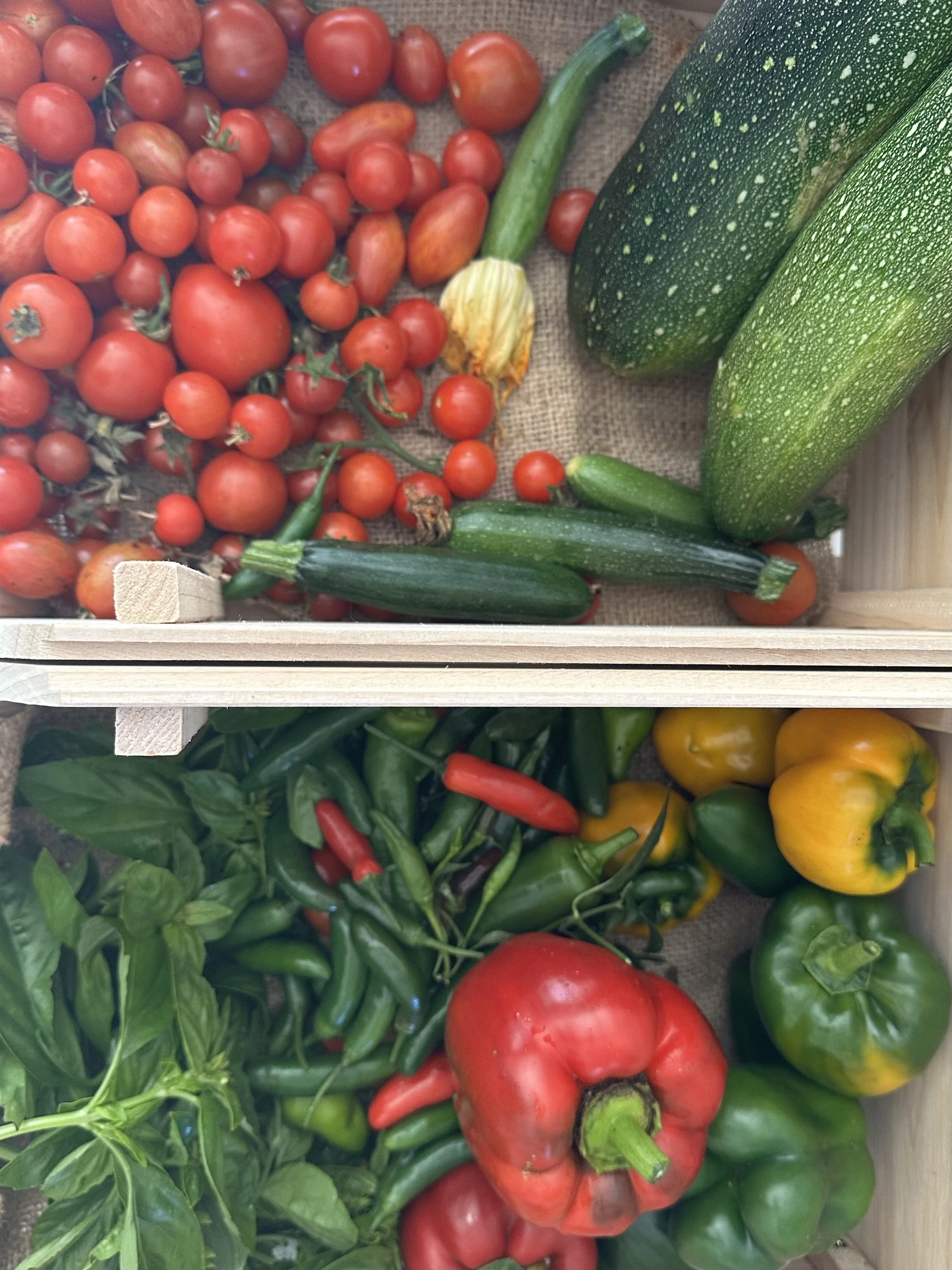 grow-gather-0926-IMG_1265.jpeg
