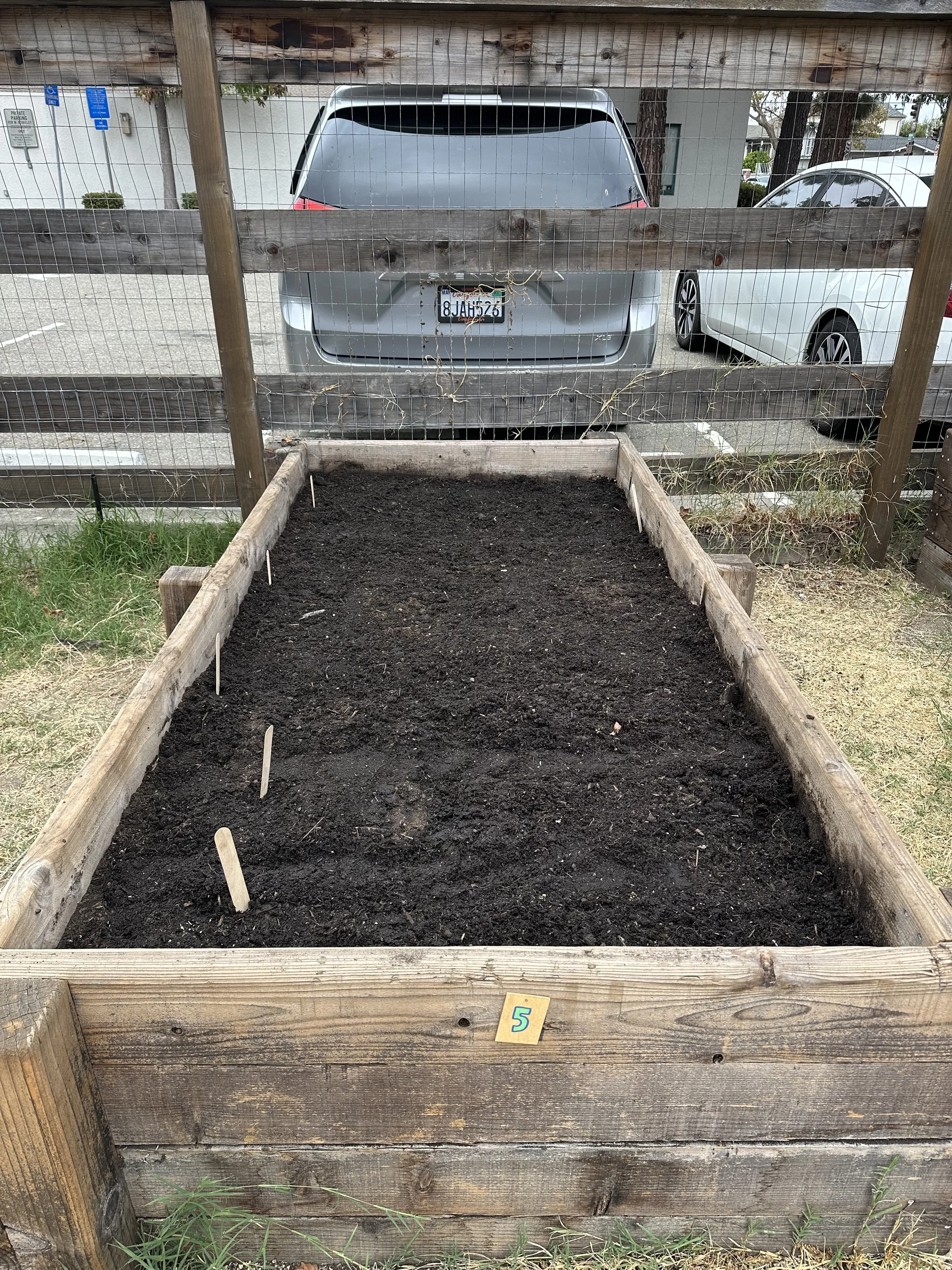 grow-gather-1026-IMG_1615.jpeg