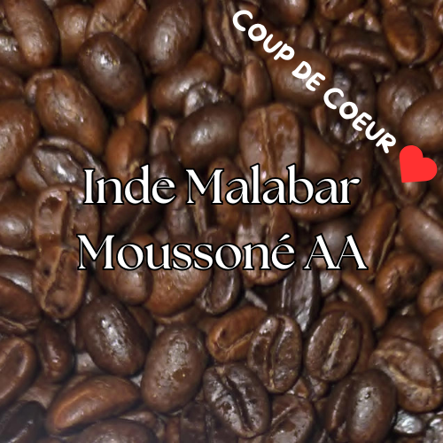 Inde Malabar Moussoné AA