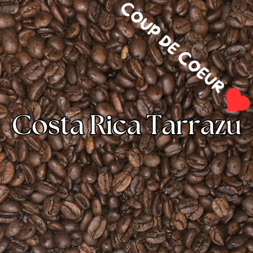 Costa Rica Tarrazu