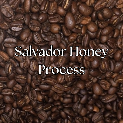 Salvador Honey Process