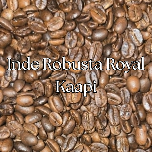 Inde Robusta Royal Kaapi