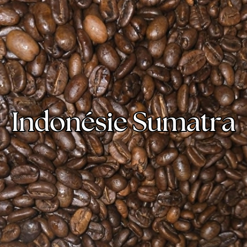 Indonésie Sumatra