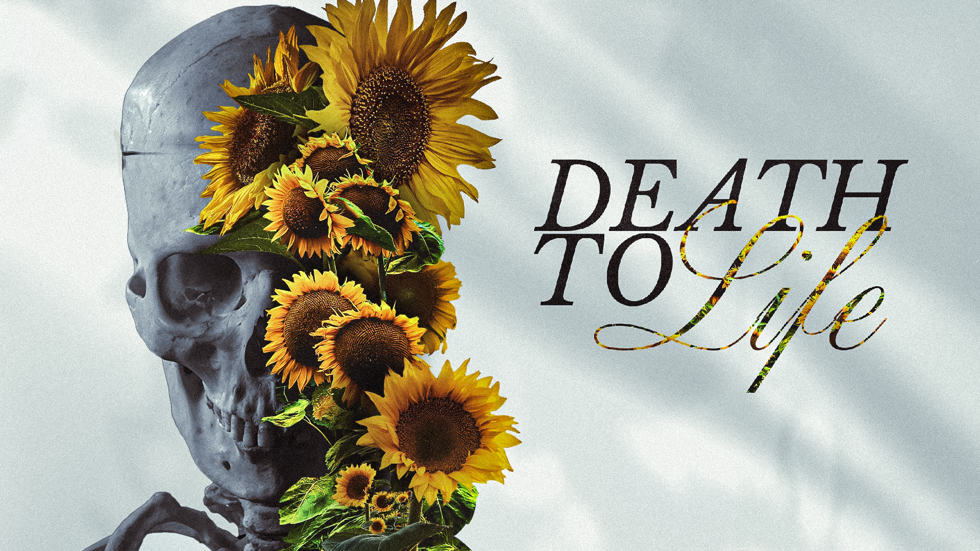 death to life-V2 copy.png