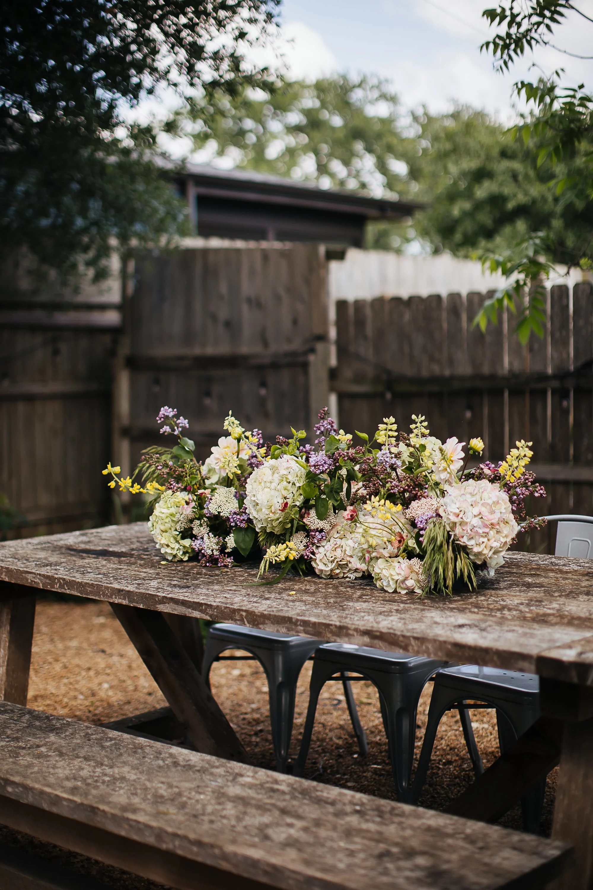 StillWild-Favs044.jpg