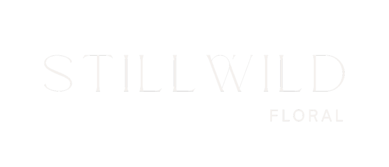 STILLWILD