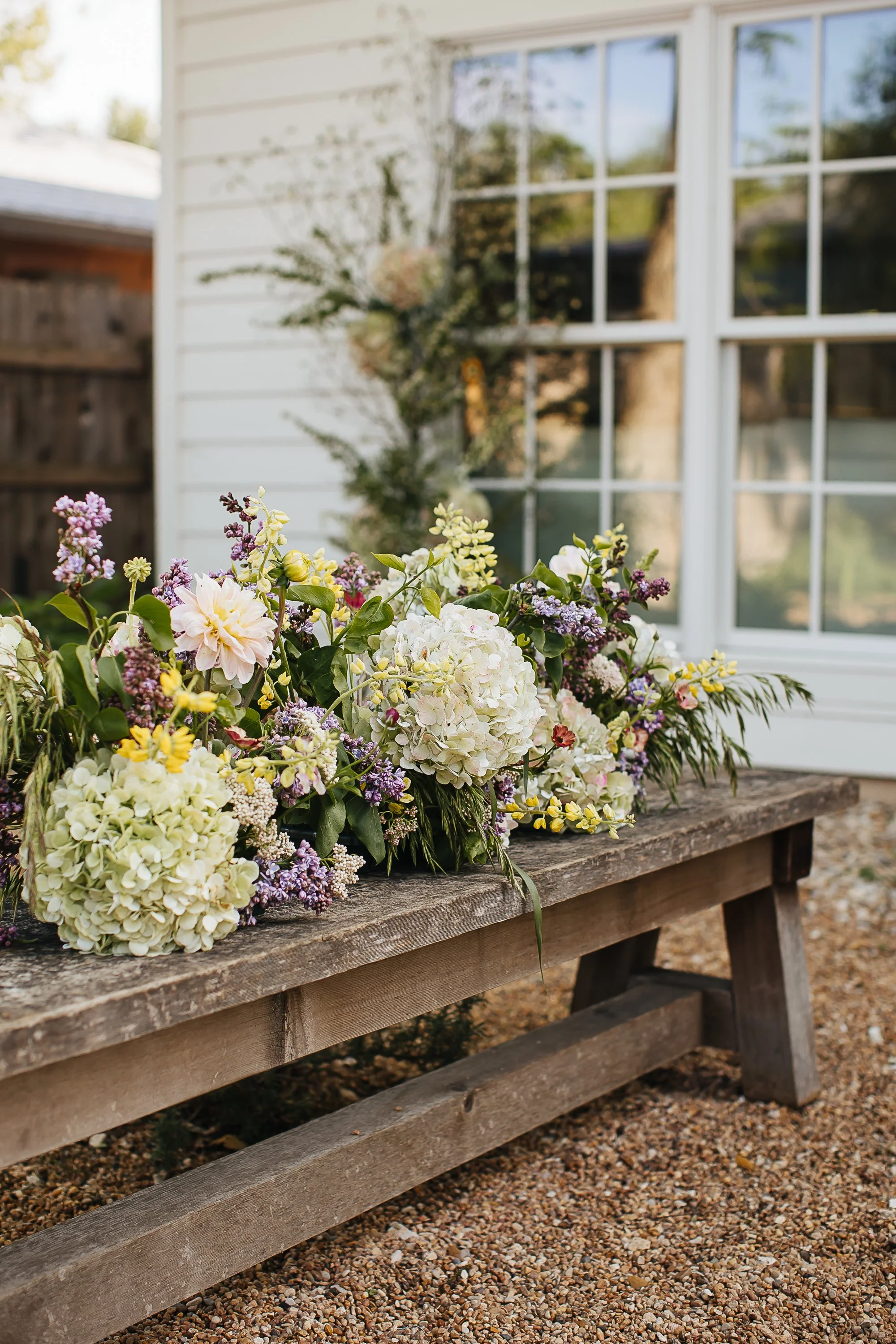 StillWild-Favs080.jpg