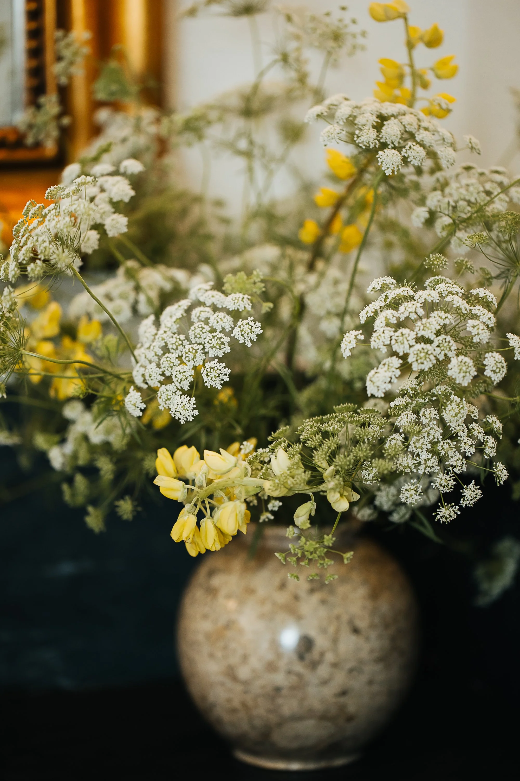StillWild-Favs025.jpg