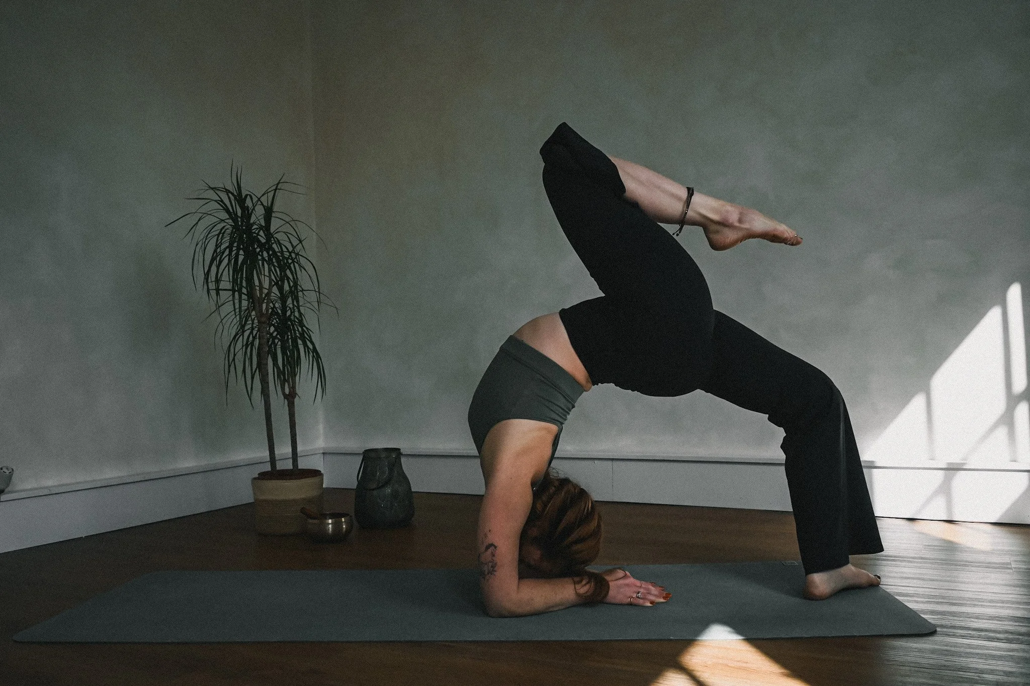 woman in forearm yoga wheel